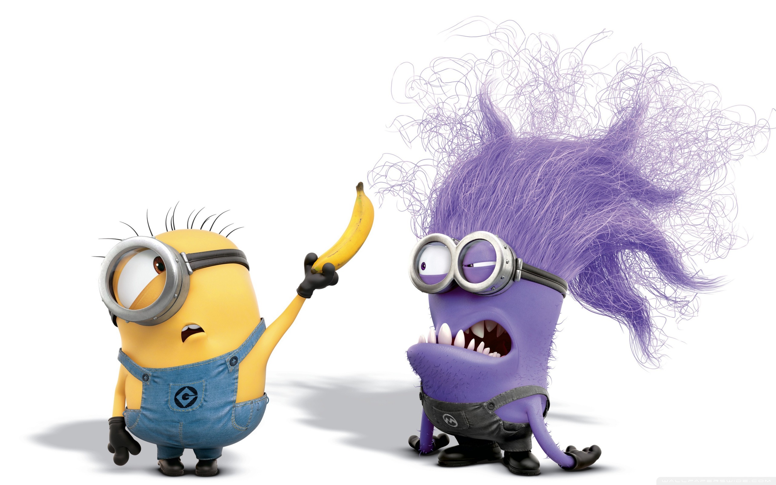 Funny Evil Purple Minion Hd Desktop Wallpaper High - HD Wallpaper 
