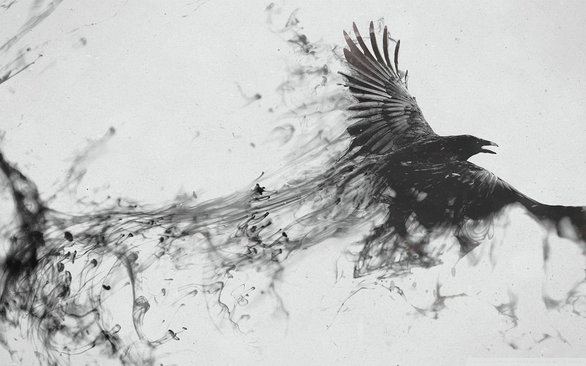 Abstract Bird Wallpaper Hd - HD Wallpaper 