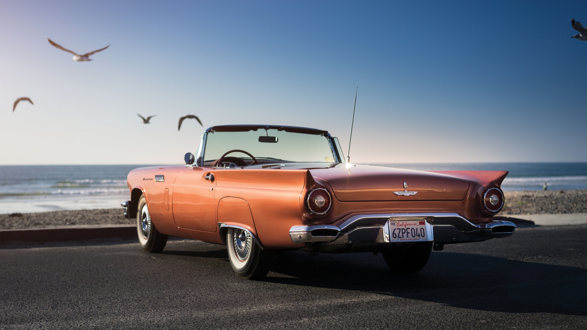 Wallpaper Ford Thunderbird Beach Embankment Seagull - Ford Thunderbird Phone Background - HD Wallpaper 