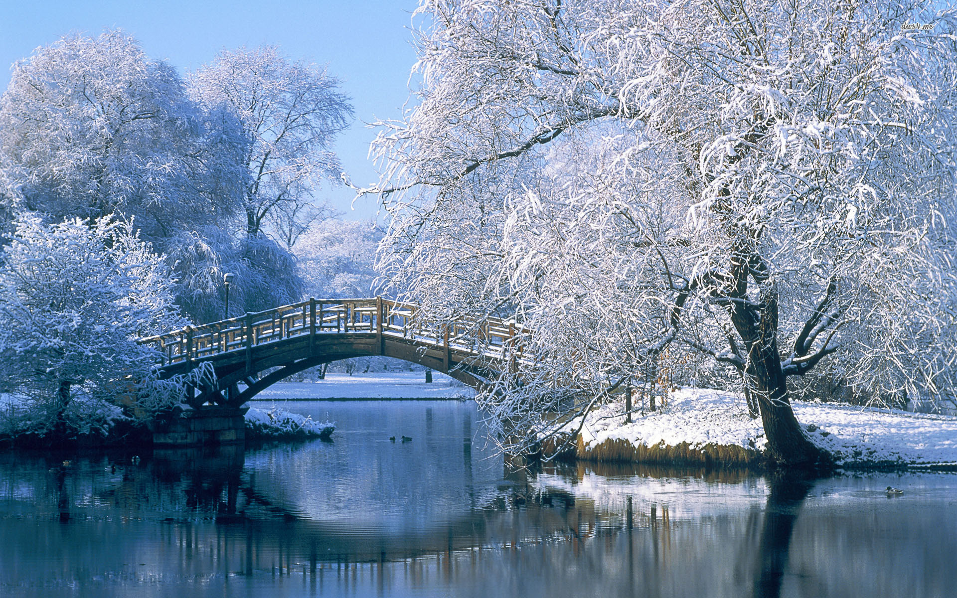 Winter Landscape Wallpaper - Winter Background - HD Wallpaper 