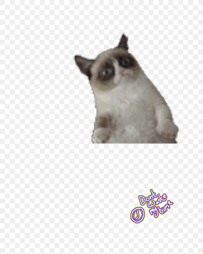 Grumpy Cat Desktop Wallpaper Kitten, Png, 768x1024px, - Funny Cat Png - HD Wallpaper 
