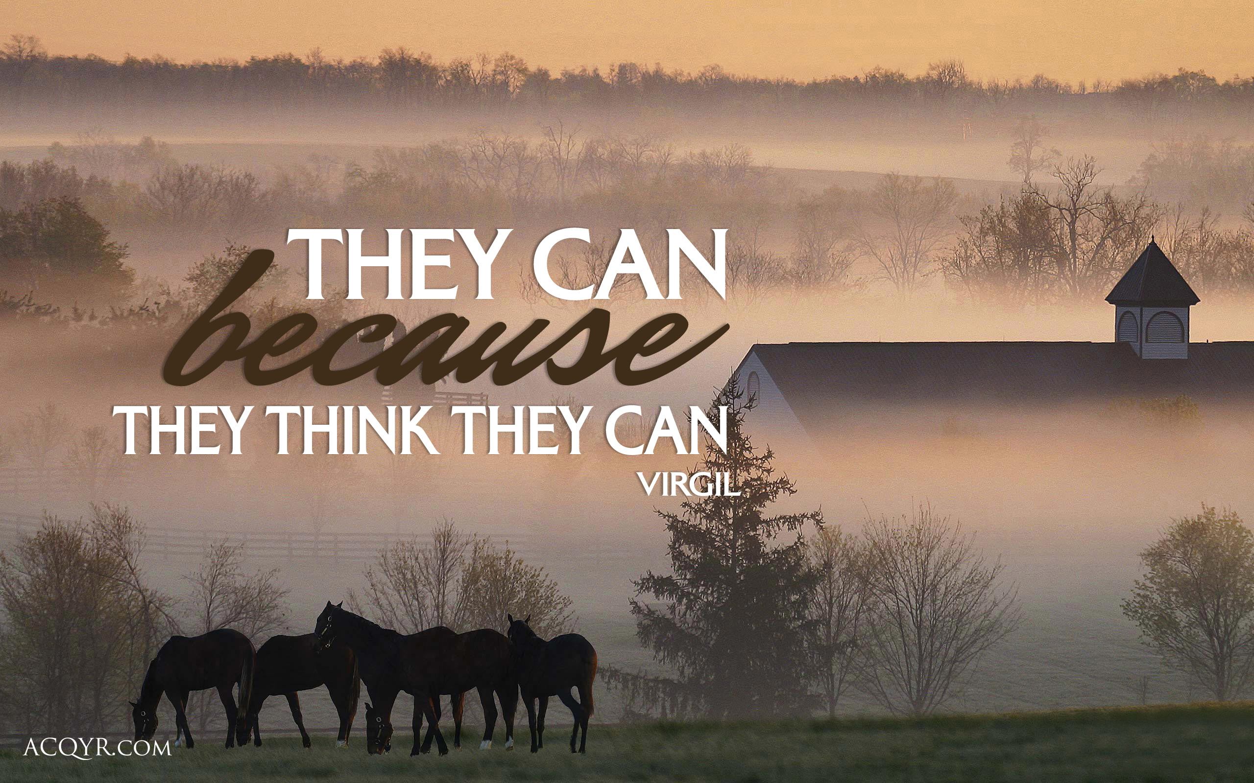 Positive Quotes About Horses 2560x1600 Wallpaper Teahub Io