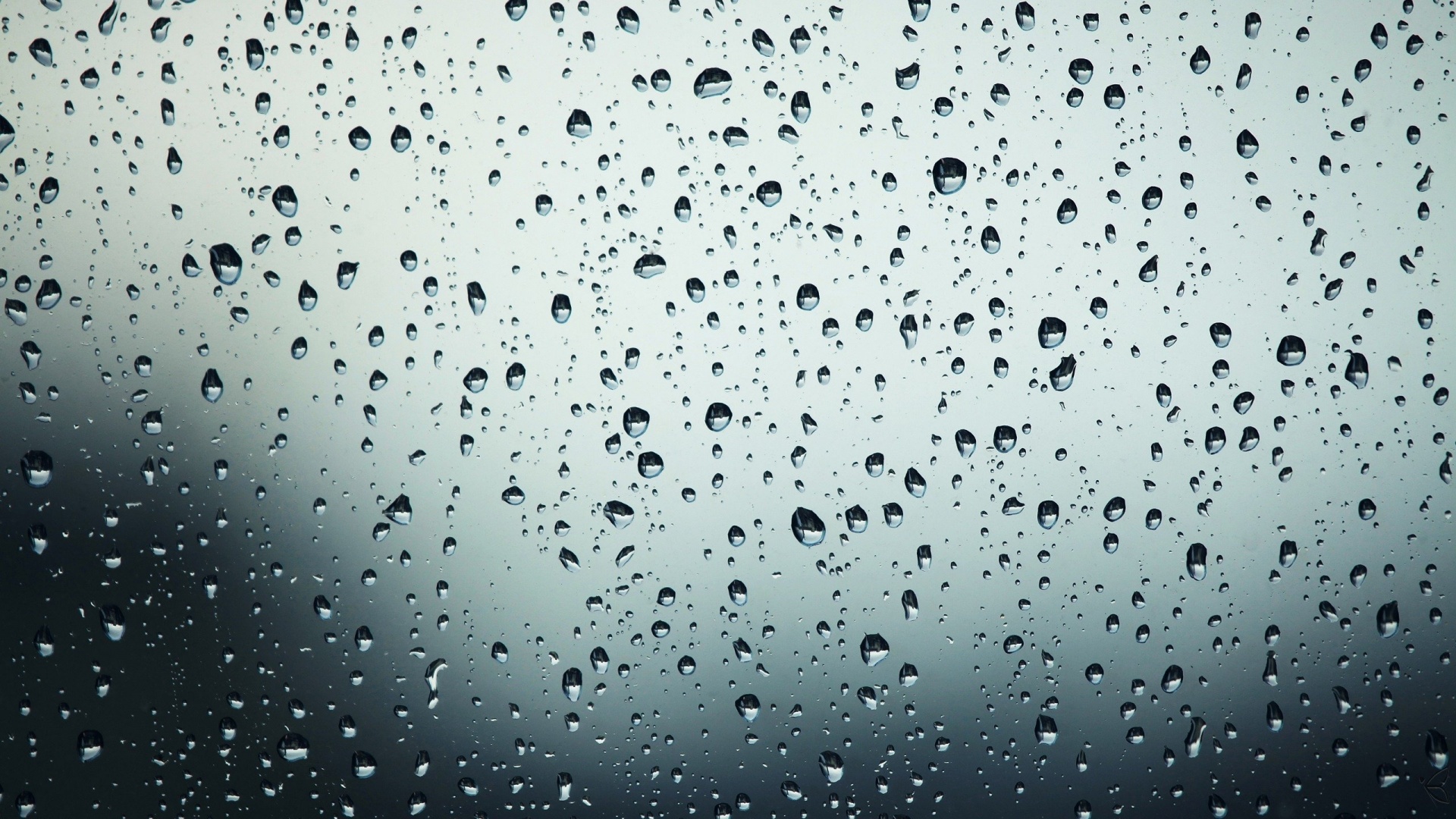 Water Droplet Background - HD Wallpaper 