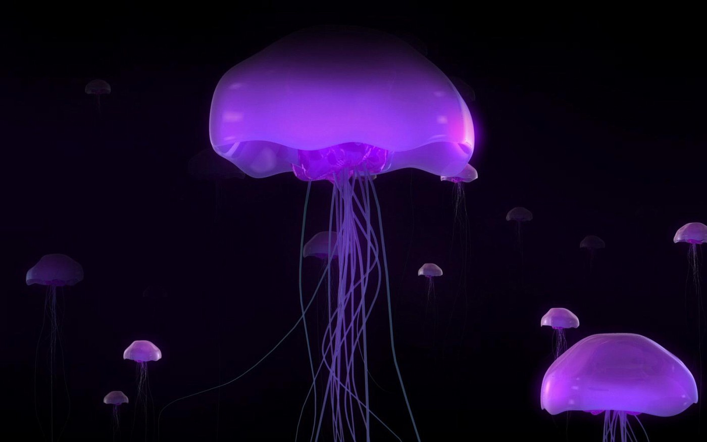3d Abstract Fair 3d Abstract Hd Fresh Picture Jelly - High Resolution Jellyfish - HD Wallpaper 
