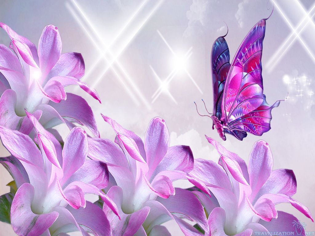 6 Jpeg - Most Beautiful Flowers Wallpapers Desktop - HD Wallpaper 