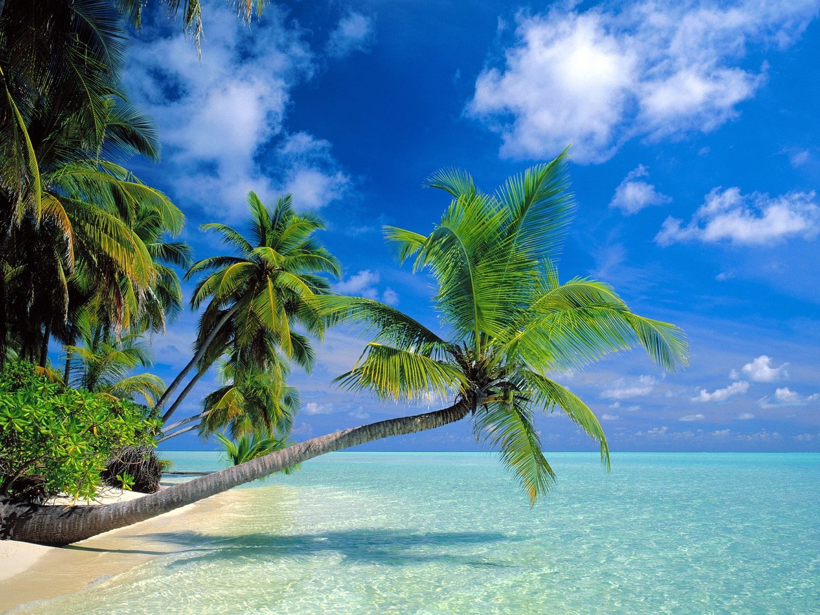 Free Download For Desktop Most Beautiful Places In - Background View - 1600x1200 Wallpaper Free Download For Desktop Most Beautiful Places In - Background View - 1600x1200 Wallpaper