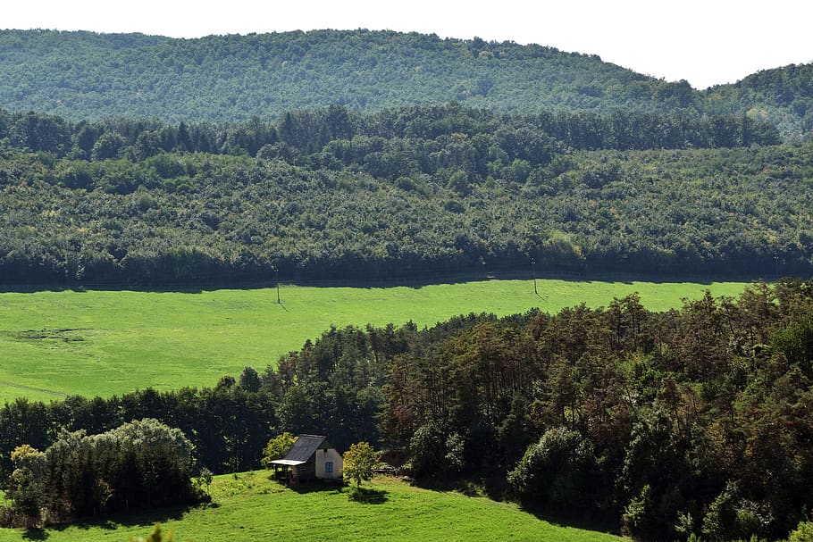 Landscape, Forest, Nature, Mood, Beautiful, Natural, - Rural Area - HD Wallpaper 