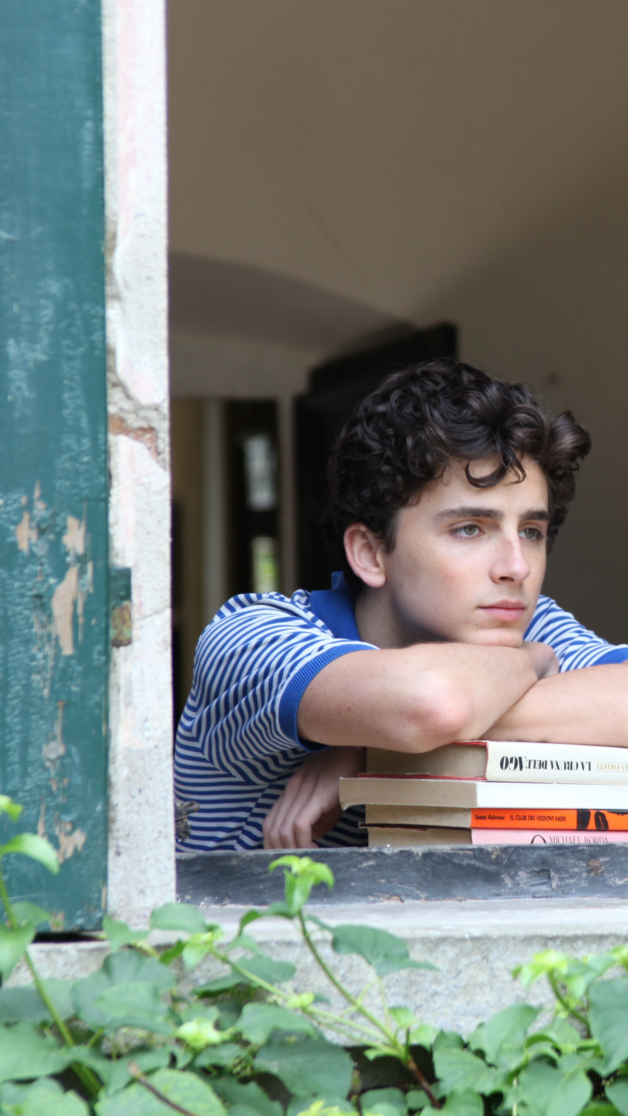 Timothee Chalamet Call Me By Your Name - HD Wallpaper 