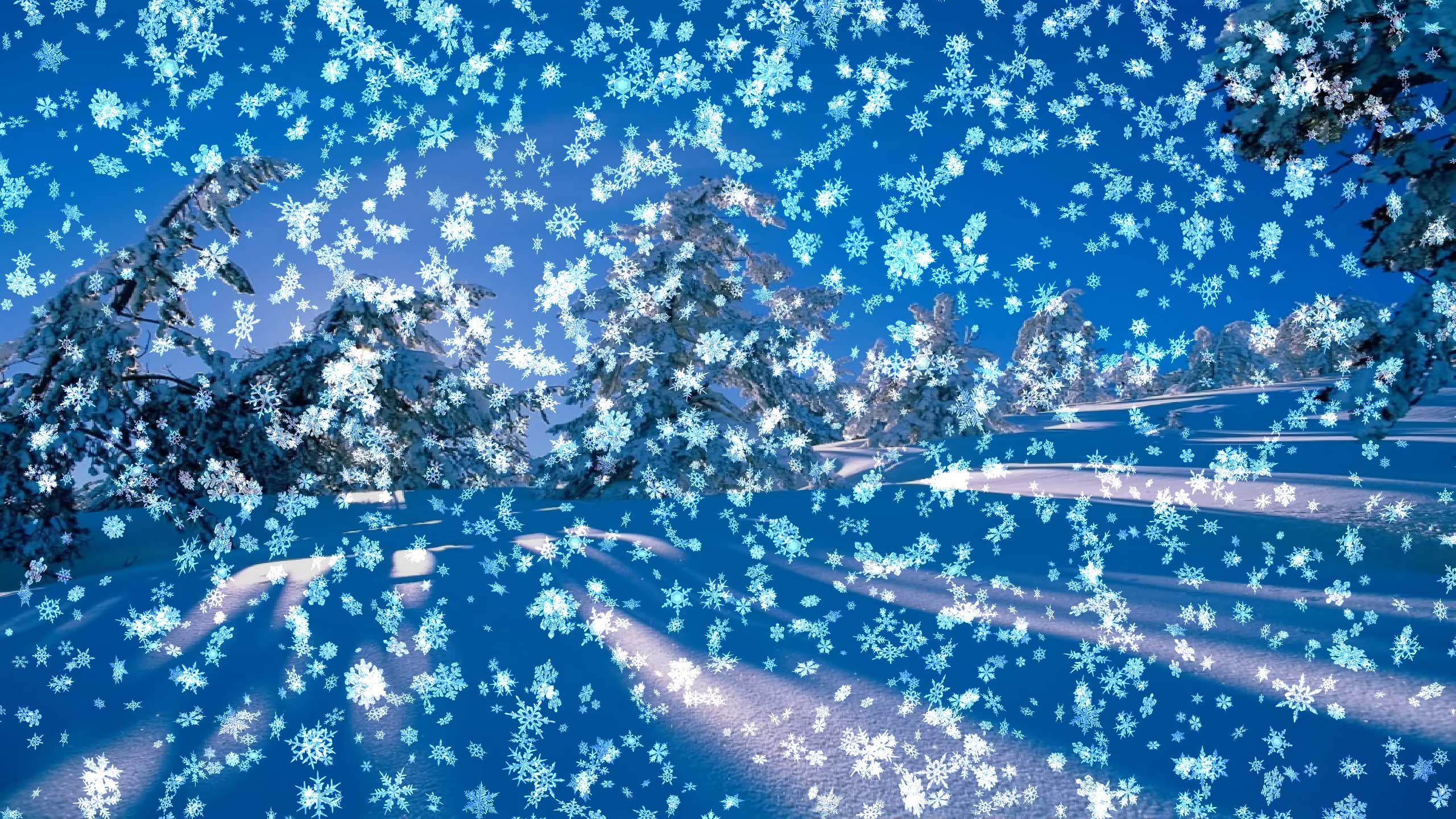 Moving Live Christmas Wallpaper For Desktop - 2560x1440 Wallpaper - Moving Live Christmas Wallpaper For Desktop - 2560x1440 Wallpaper -