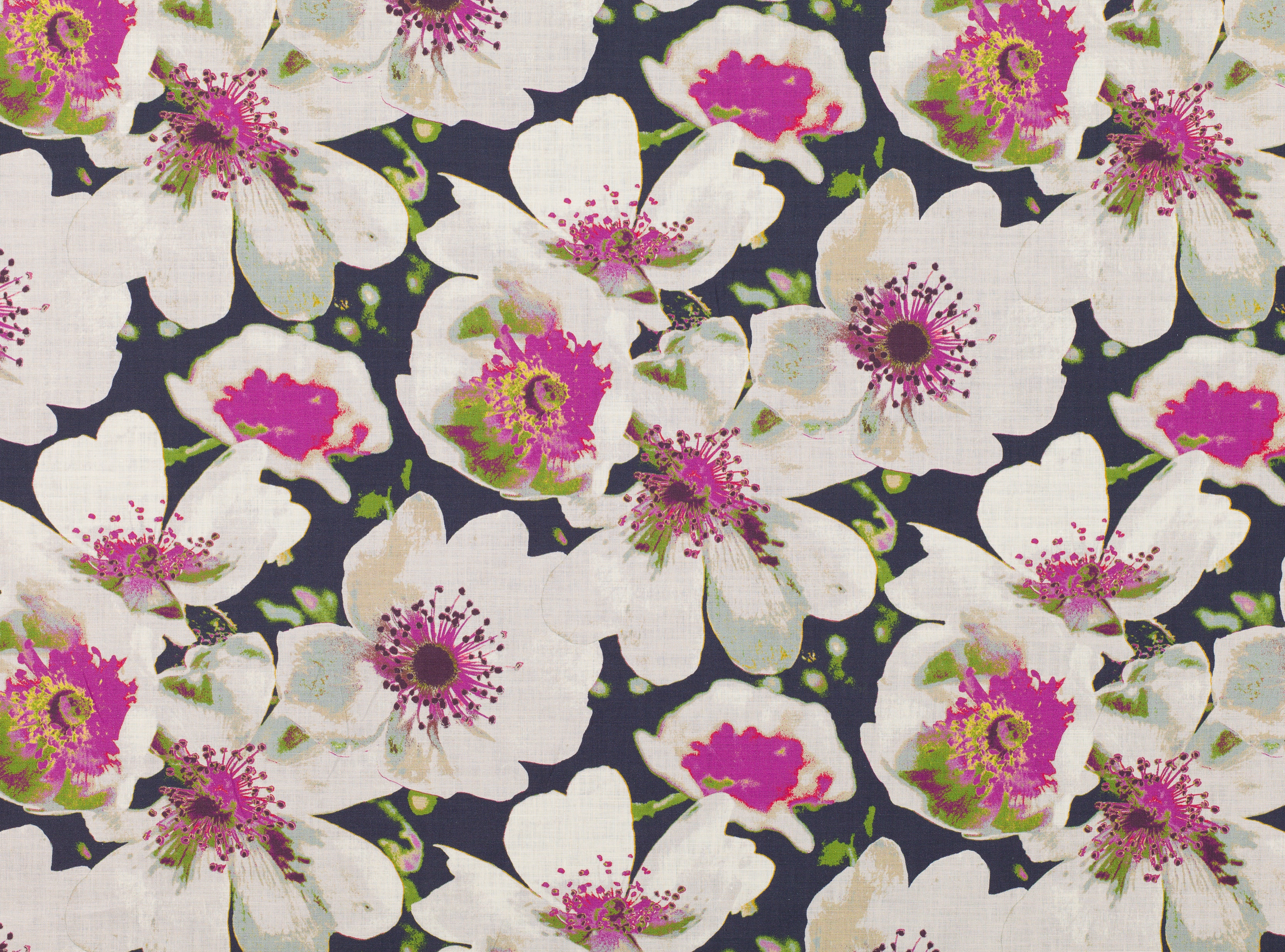 Tapete Eden Verbena - HD Wallpaper 