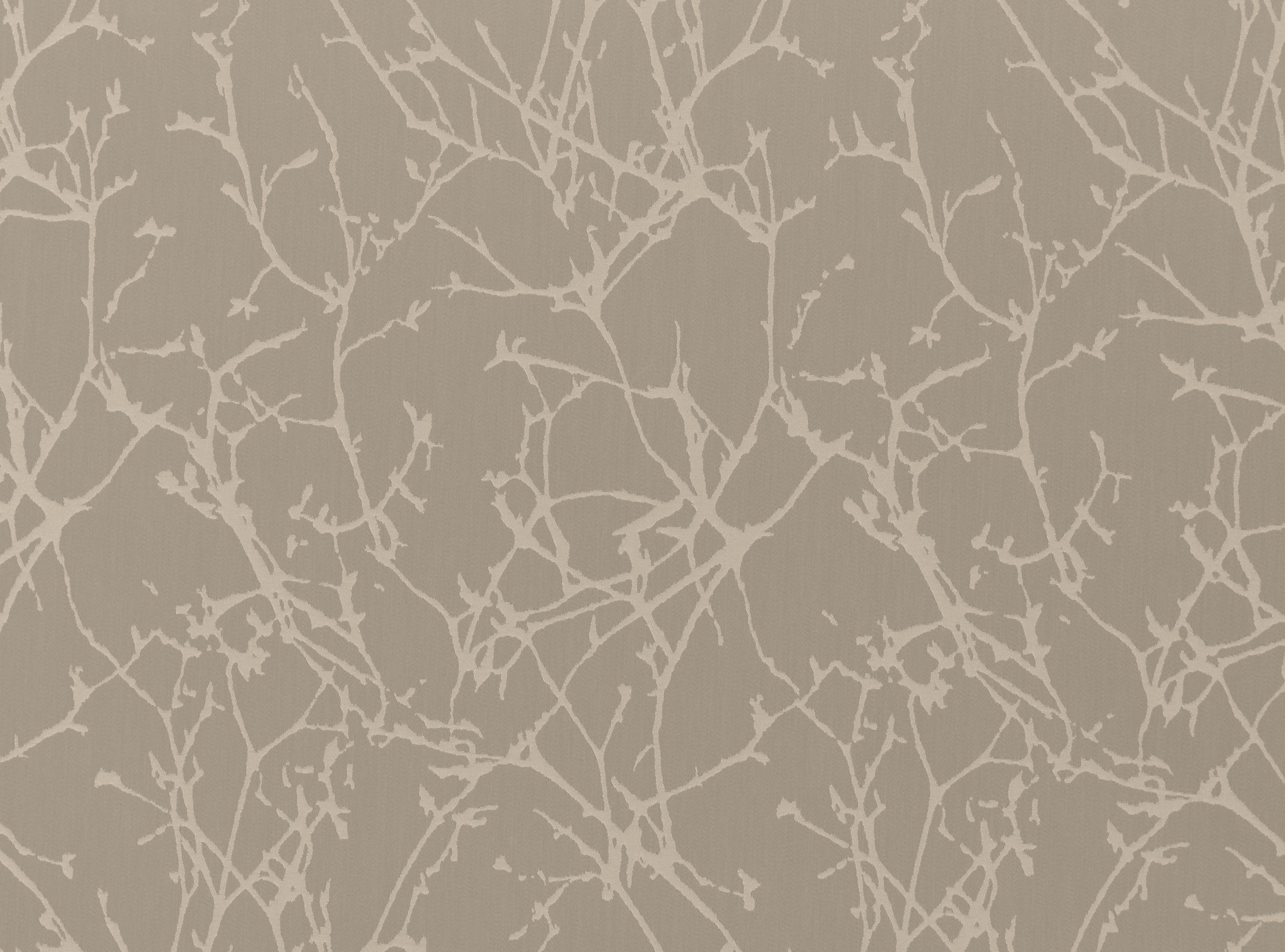 Wallpaper - HD Wallpaper 