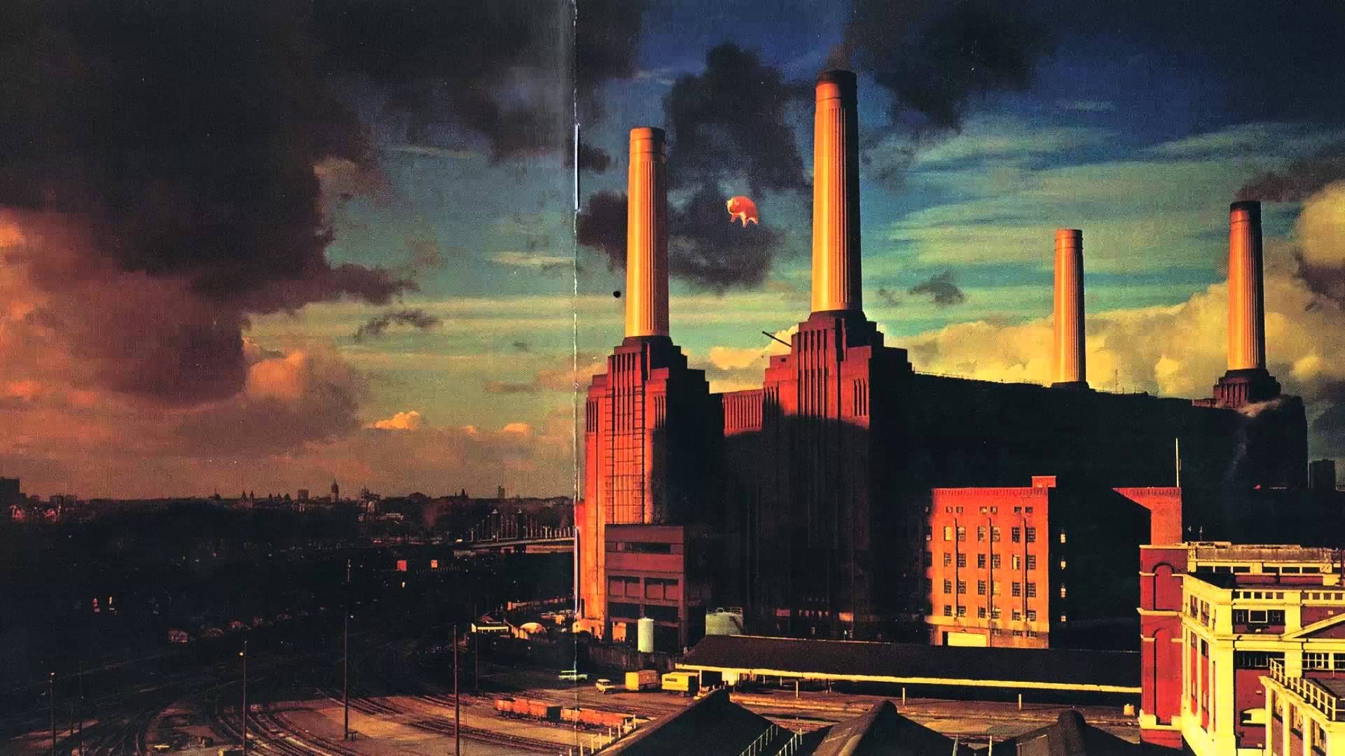Album Animals Pink Floyd - HD Wallpaper 