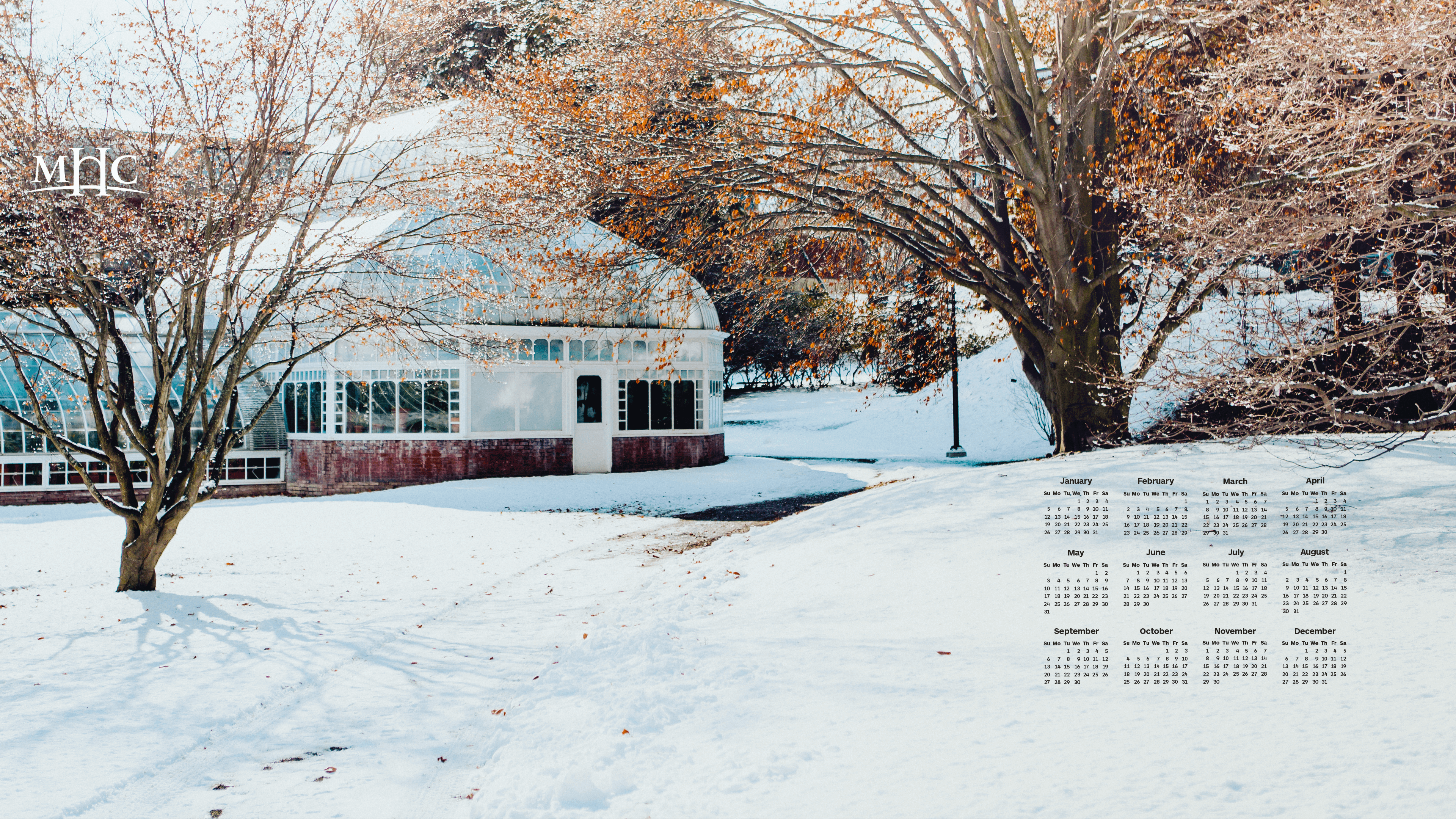 Google Desktop January 2020 Calendar - HD Wallpaper 