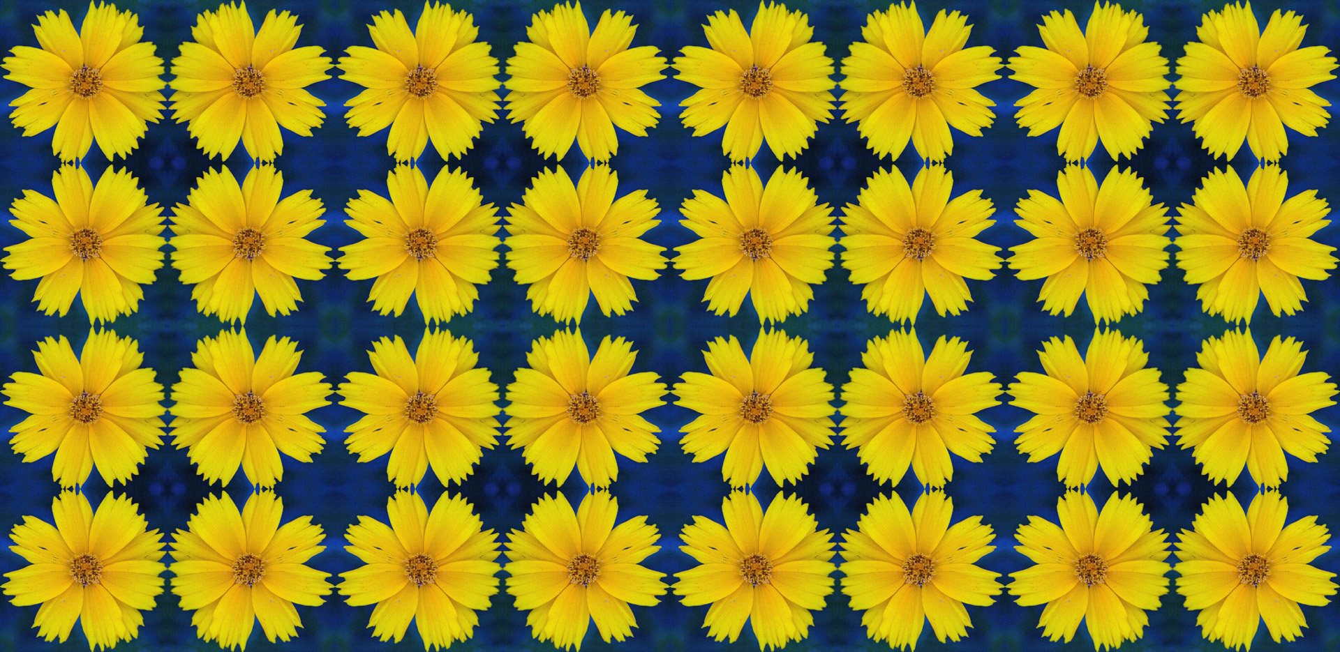 Wallpaper Pattern Repeat Free Photo - African Daisy - HD Wallpaper 