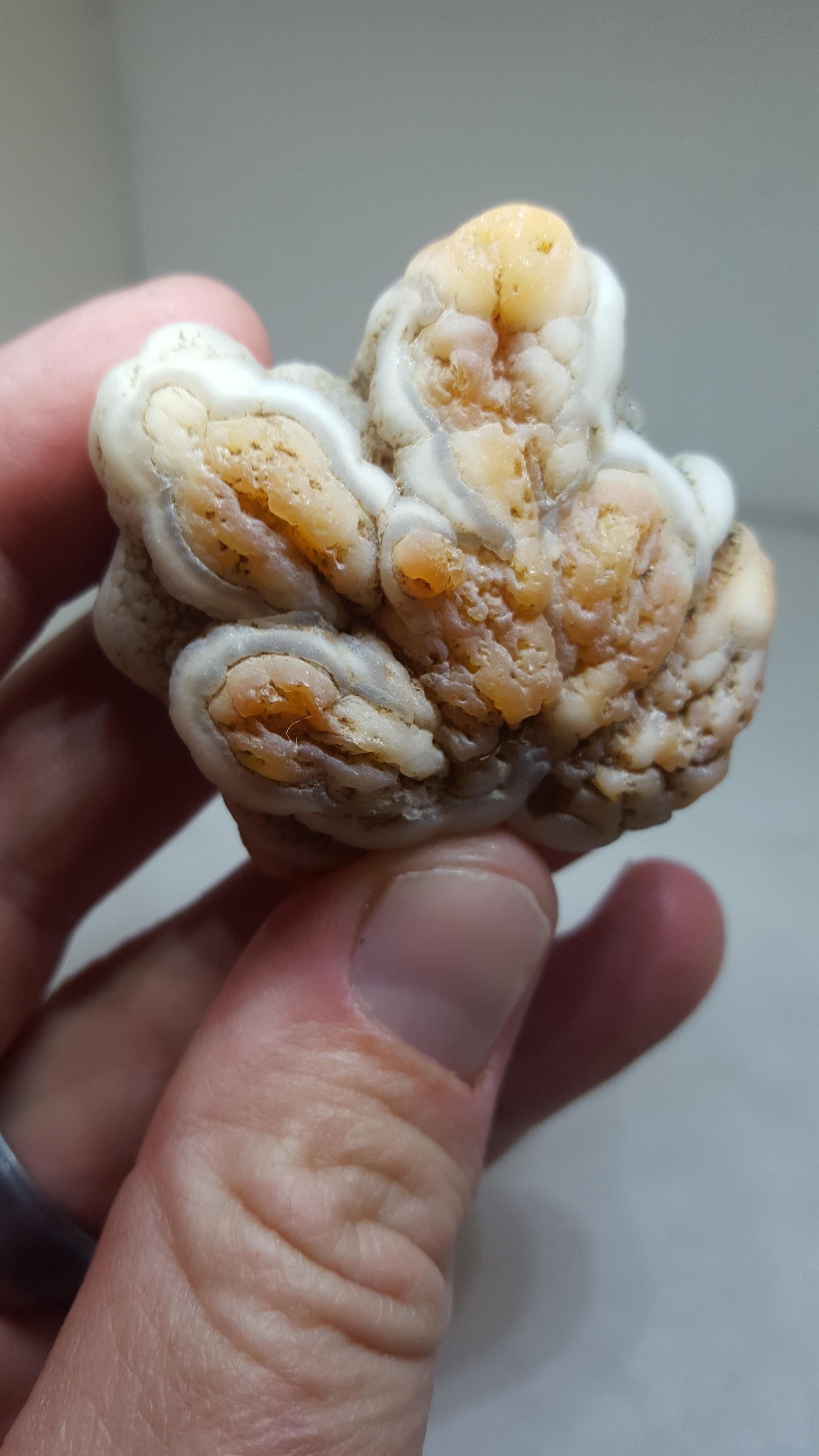 Montana Agate Wallpaper - Walnut - HD Wallpaper 