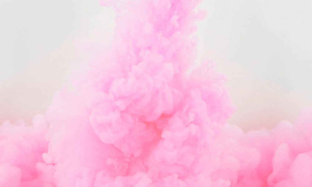 Peony - HD Wallpaper 