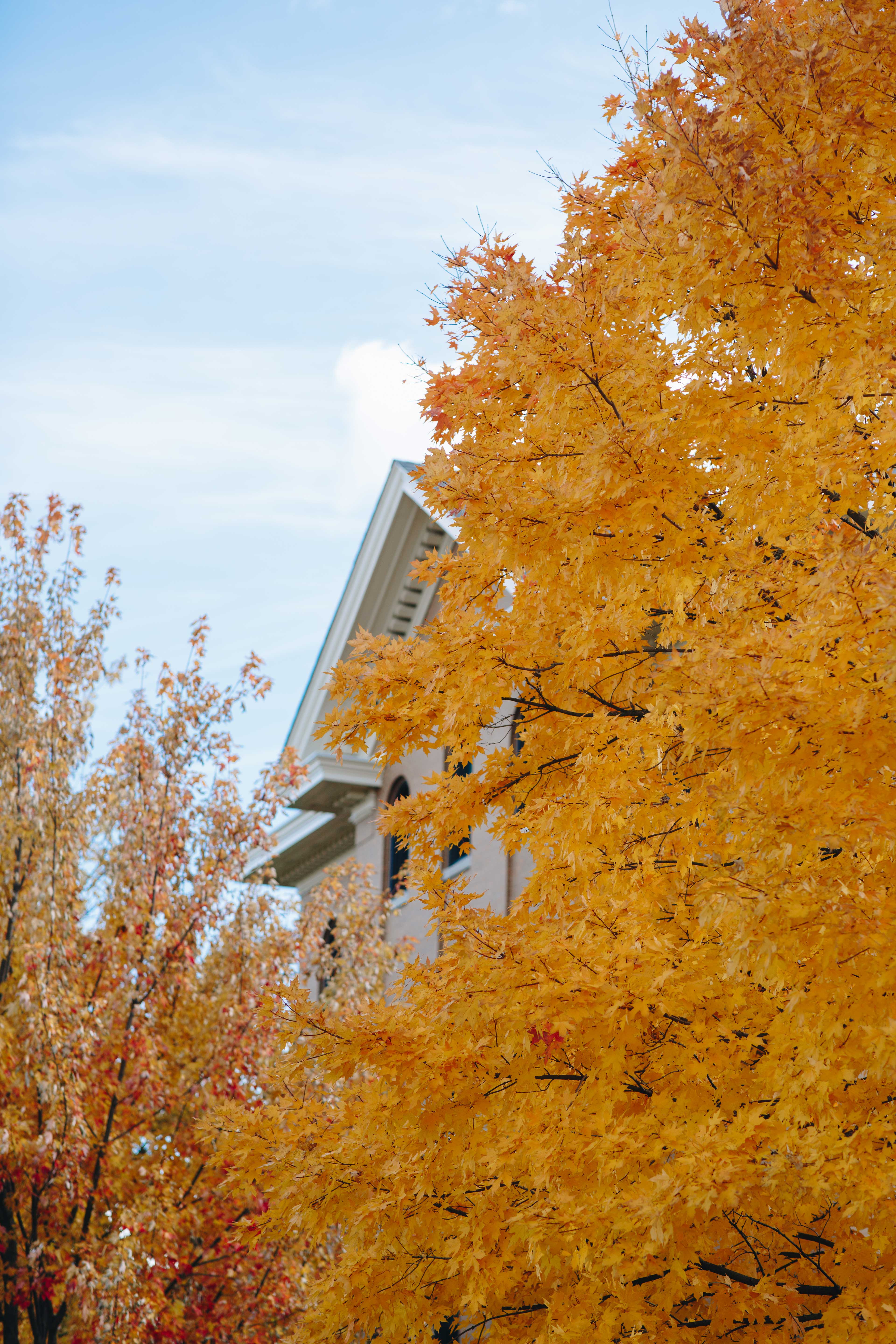 Autumn - HD Wallpaper 