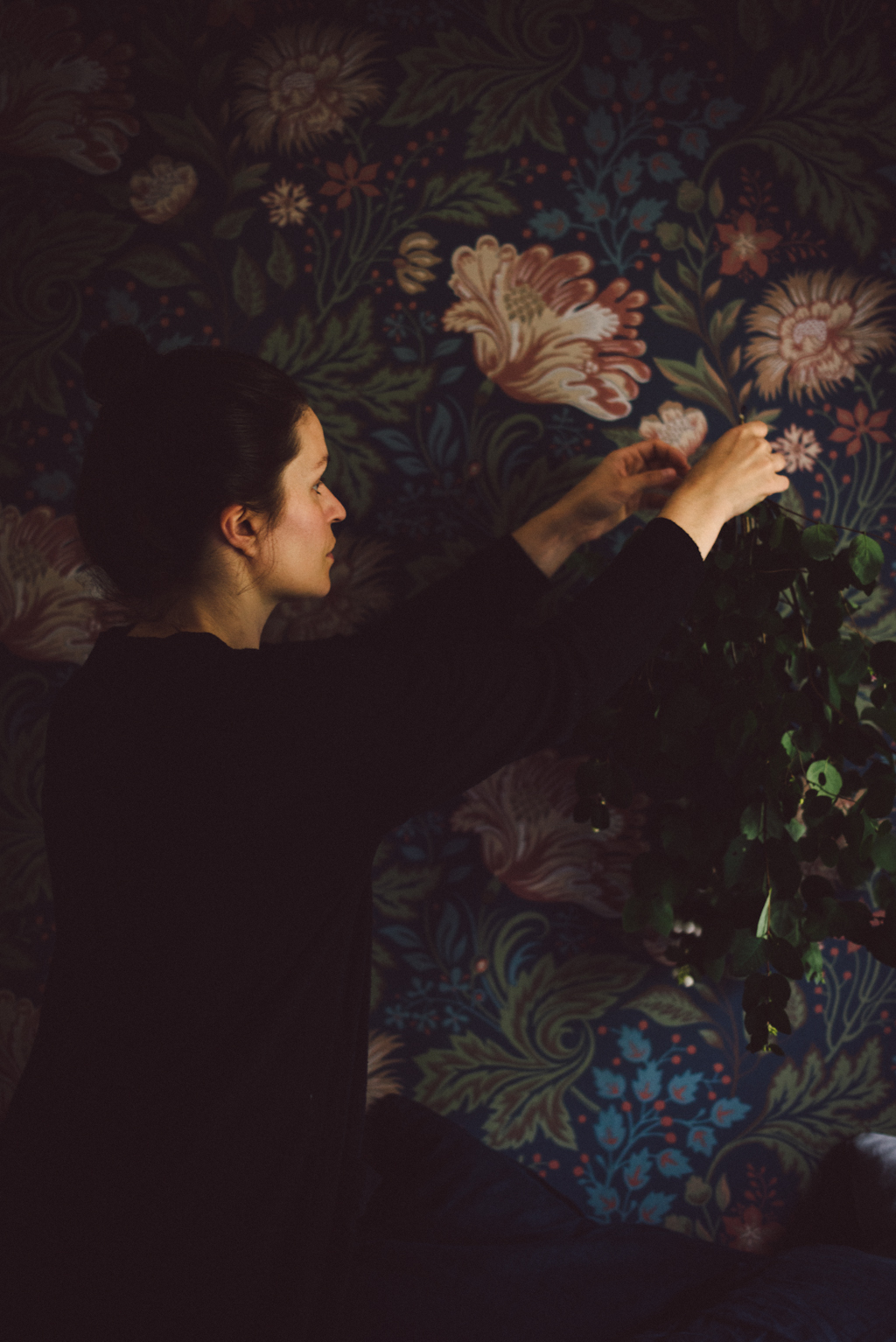 Ava Wallpaper By Babes In Boyland - Motif - HD Wallpaper 