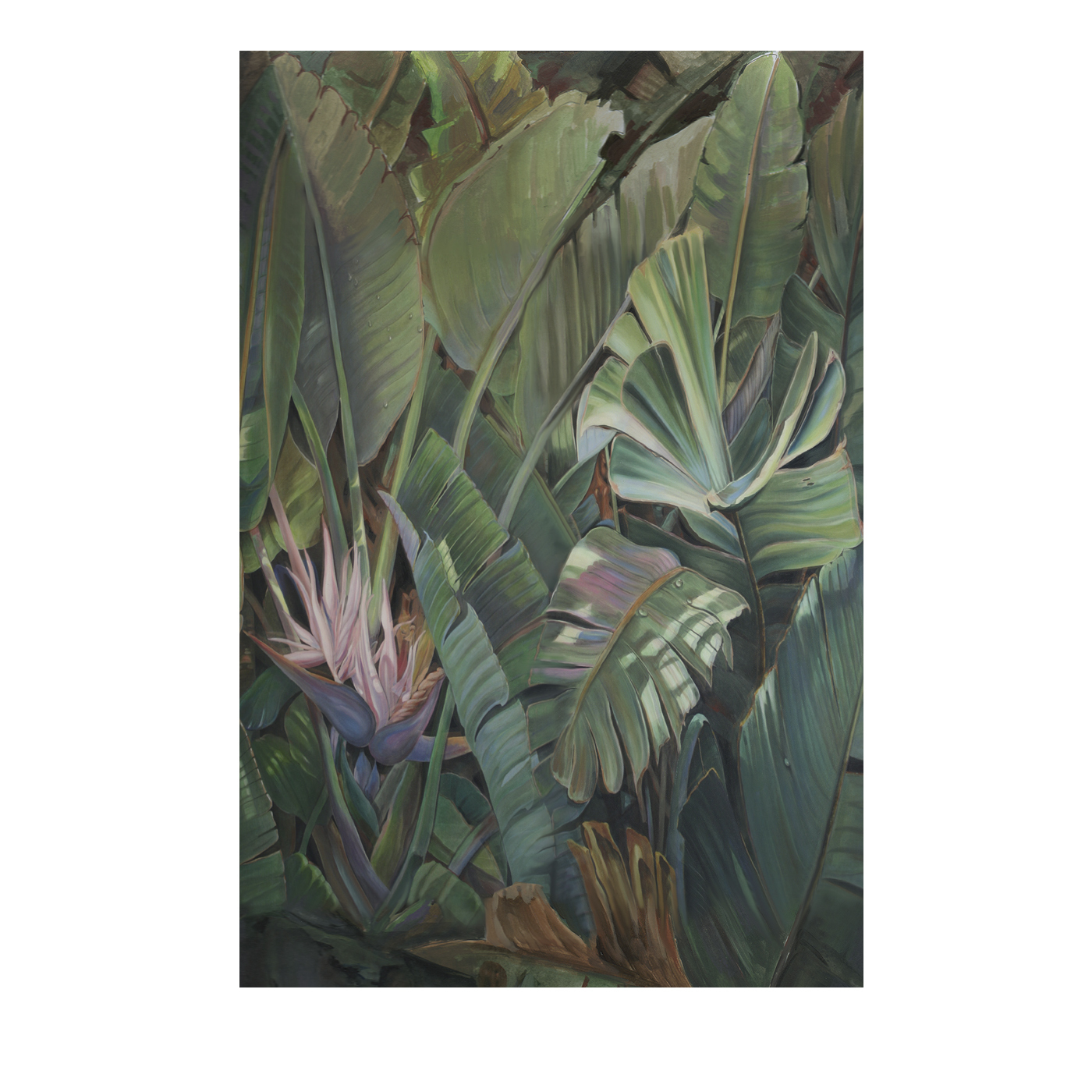 Lush Tropical Forest Wallpaper - Sabal Palmetto - HD Wallpaper 