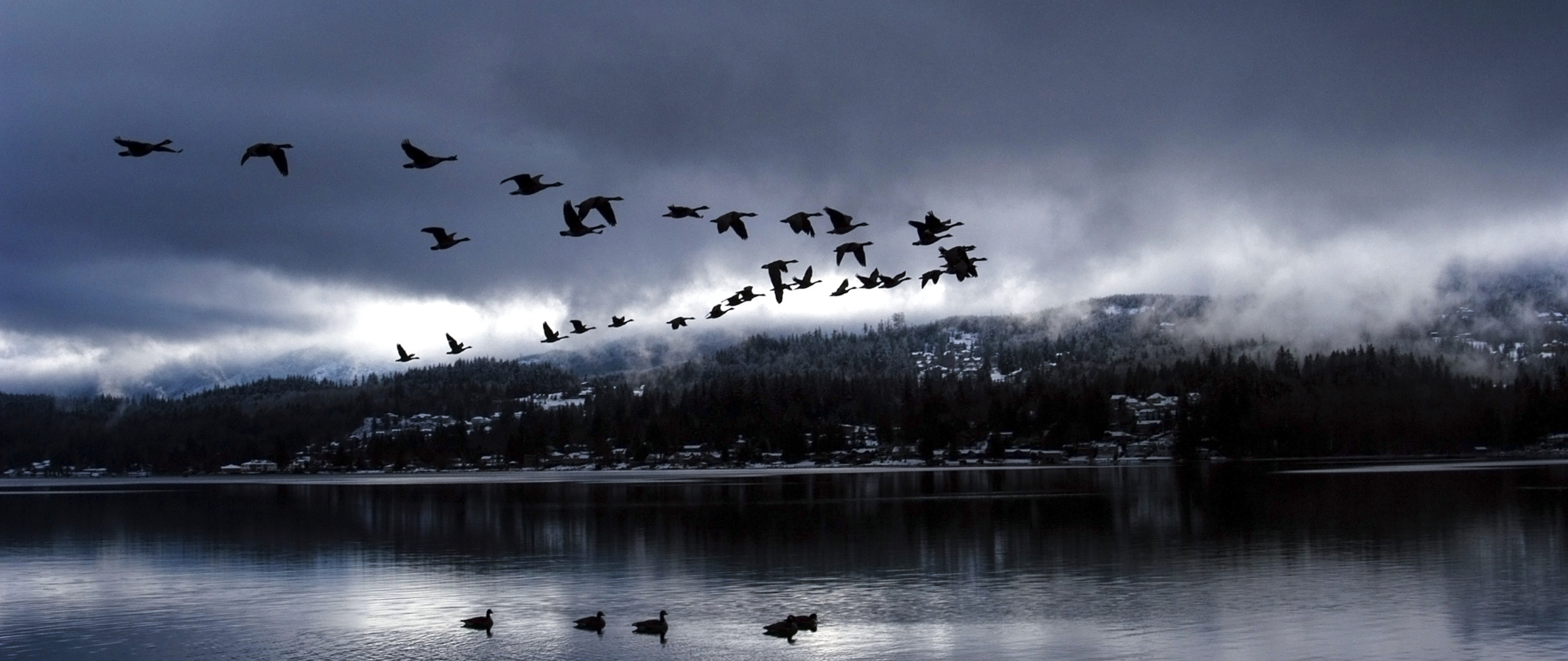 Never Settle - HD Wallpaper 