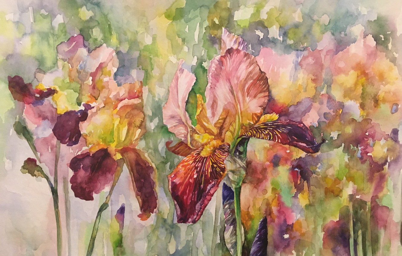 Photo Wallpaper Flowers, Watercolor, Painting, Irises, - Ирисы Акварель - HD Wallpaper 