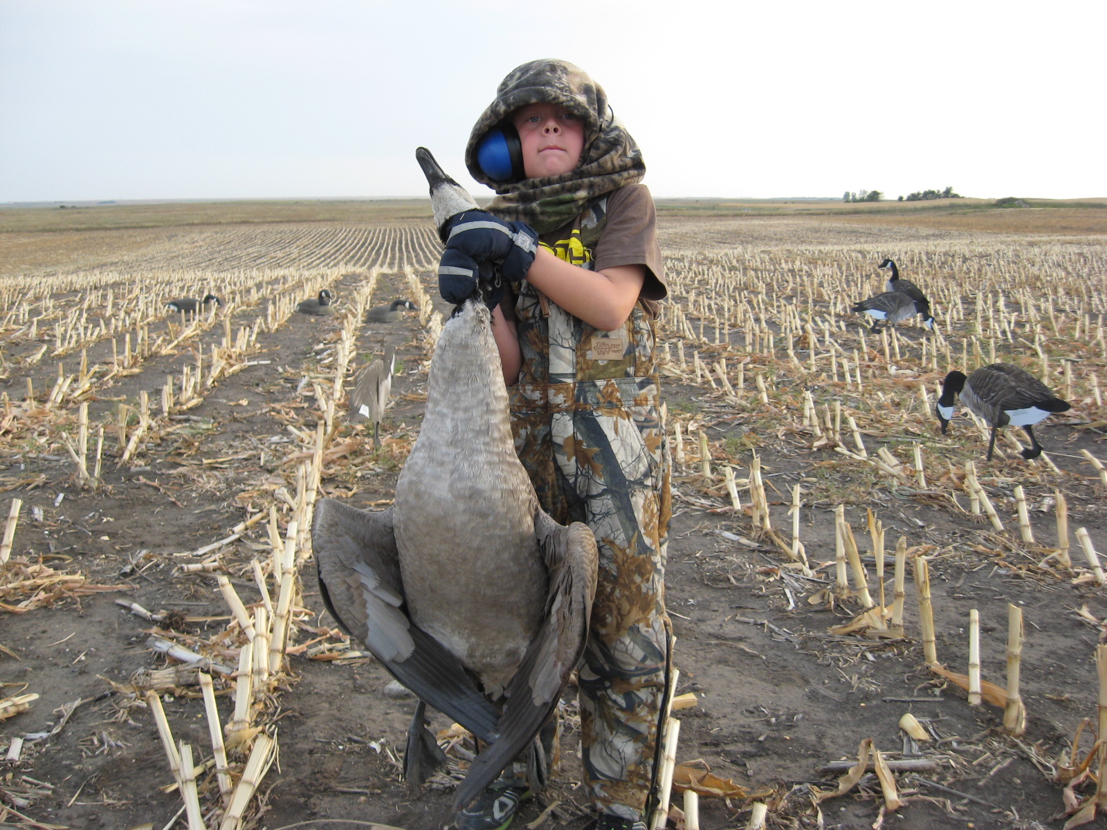 Goose Hunting Wallpaper - Goose Hunting Wallpaper Iphone - 1600x1200