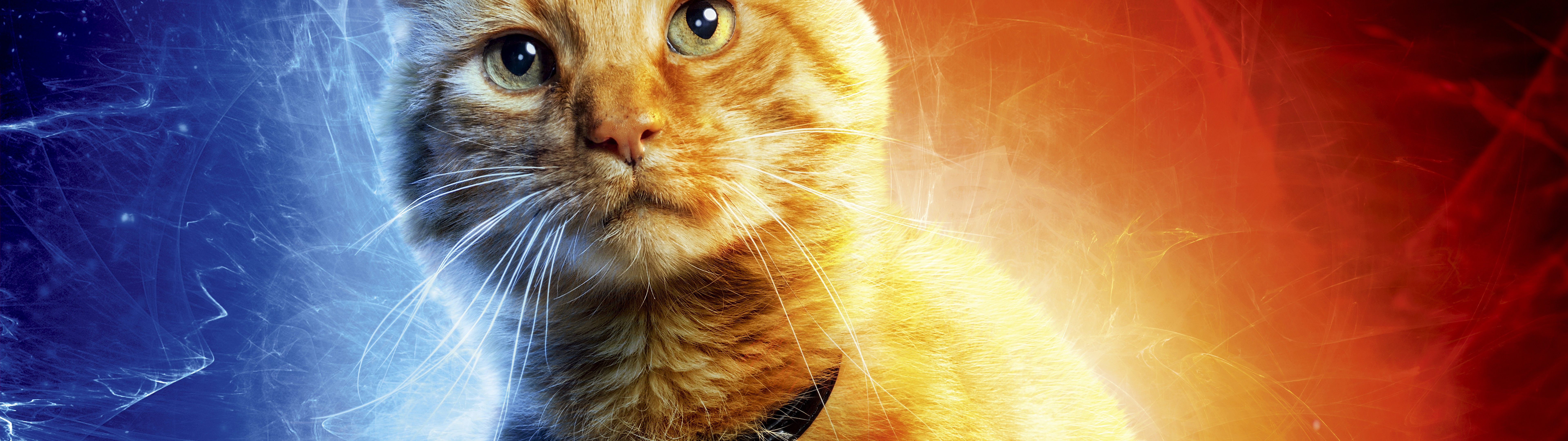 Captain Marvel, Movie, Goose The Cat, 8k, - Goose Captain Marvel - HD Wallpaper 
