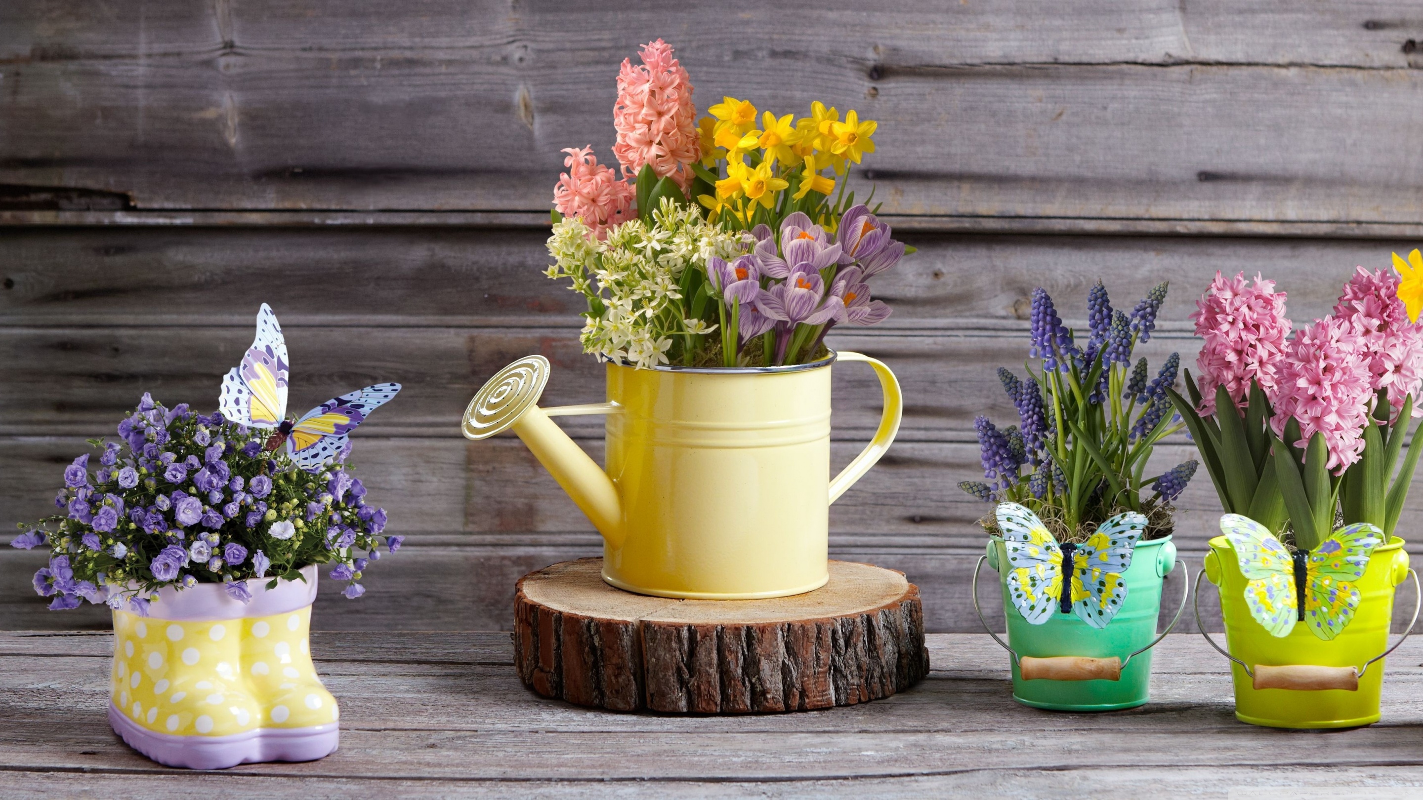 Floral Spring Wallpaper Desktop - HD Wallpaper 