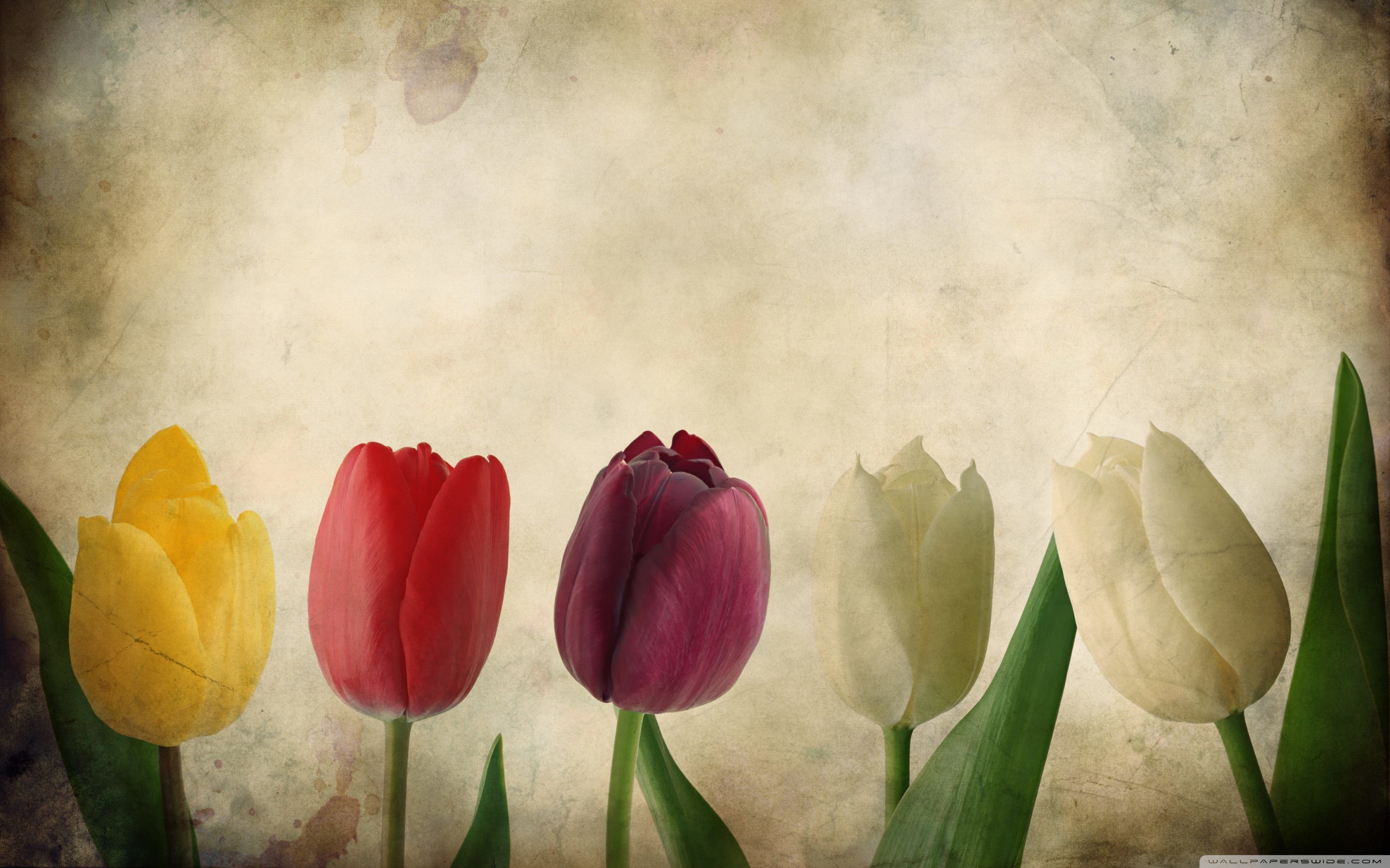 Flowers Wallpaper Awesome Background - Desktop Background Hd Vintage Flowers - HD Wallpaper 