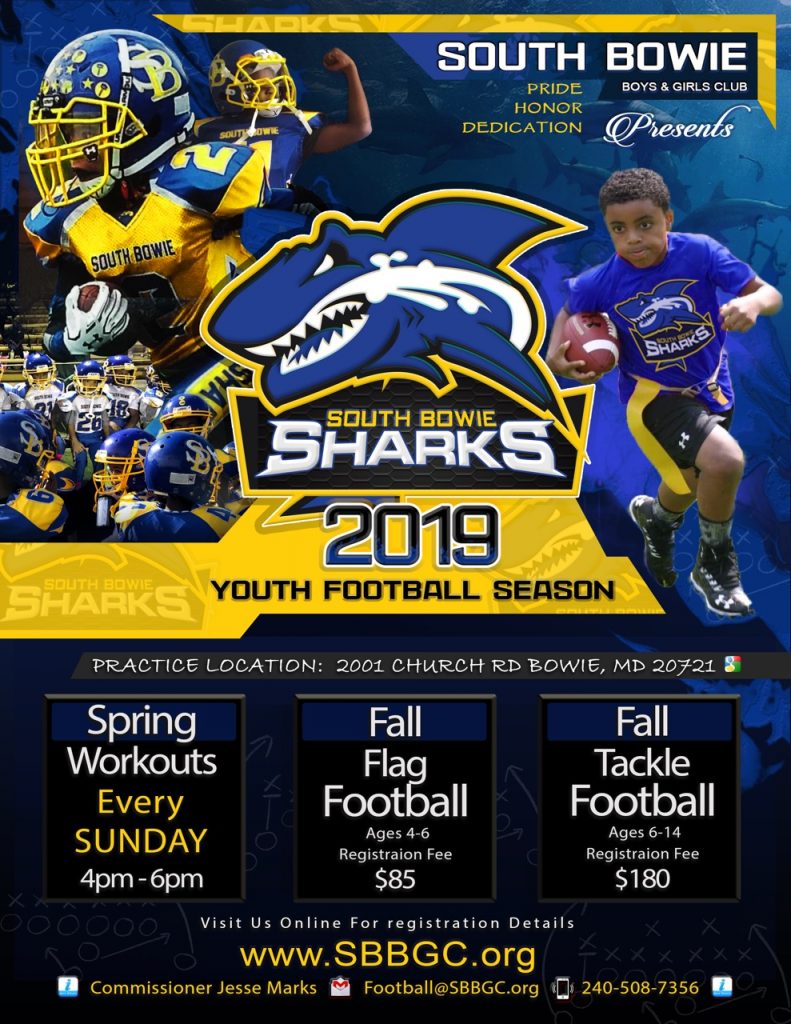 Corpus Christi Sharks - HD Wallpaper 