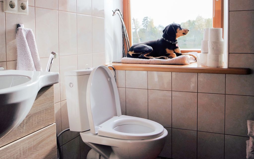 Bathroom - HD Wallpaper 