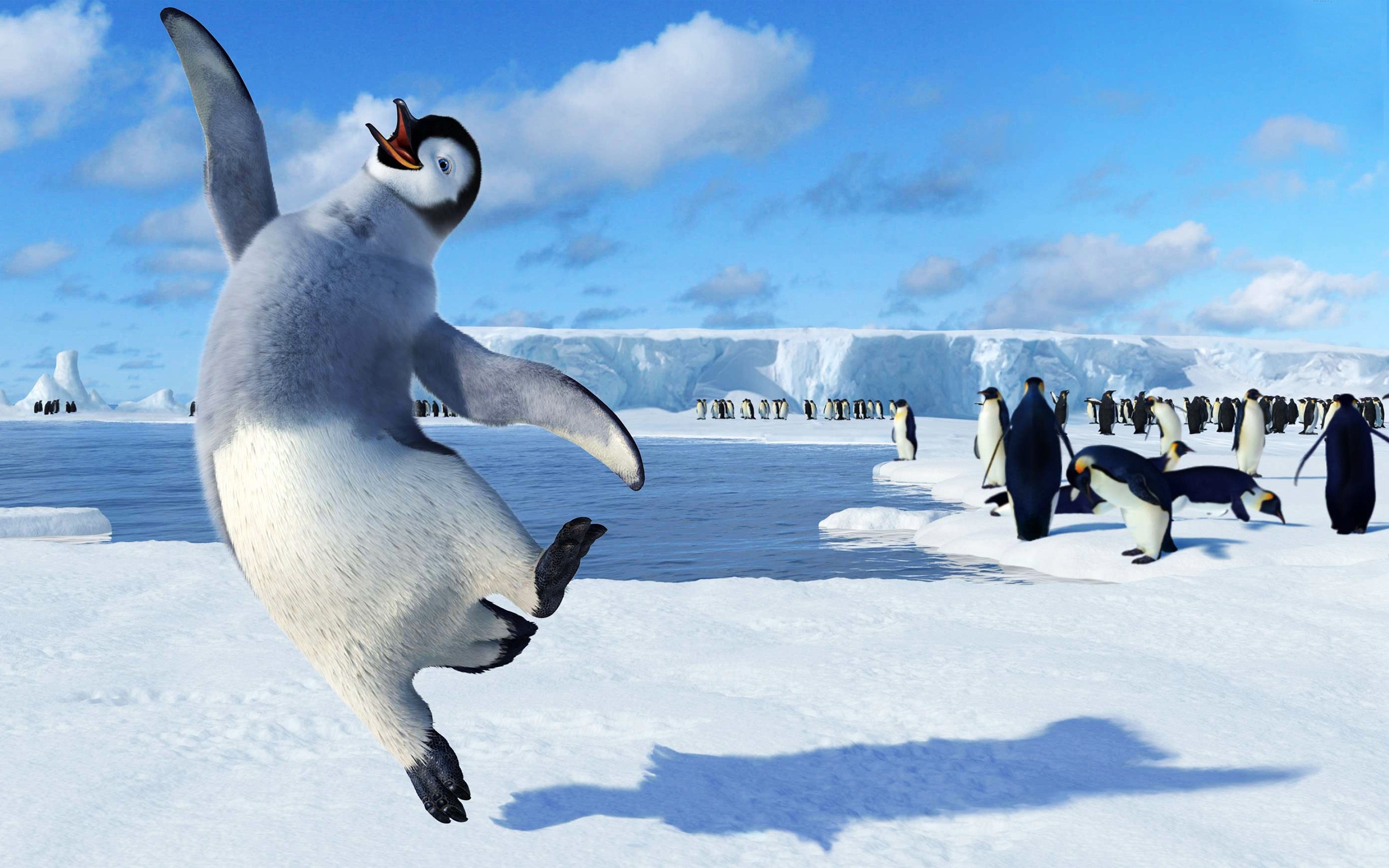 Happy Feet - HD Wallpaper 
