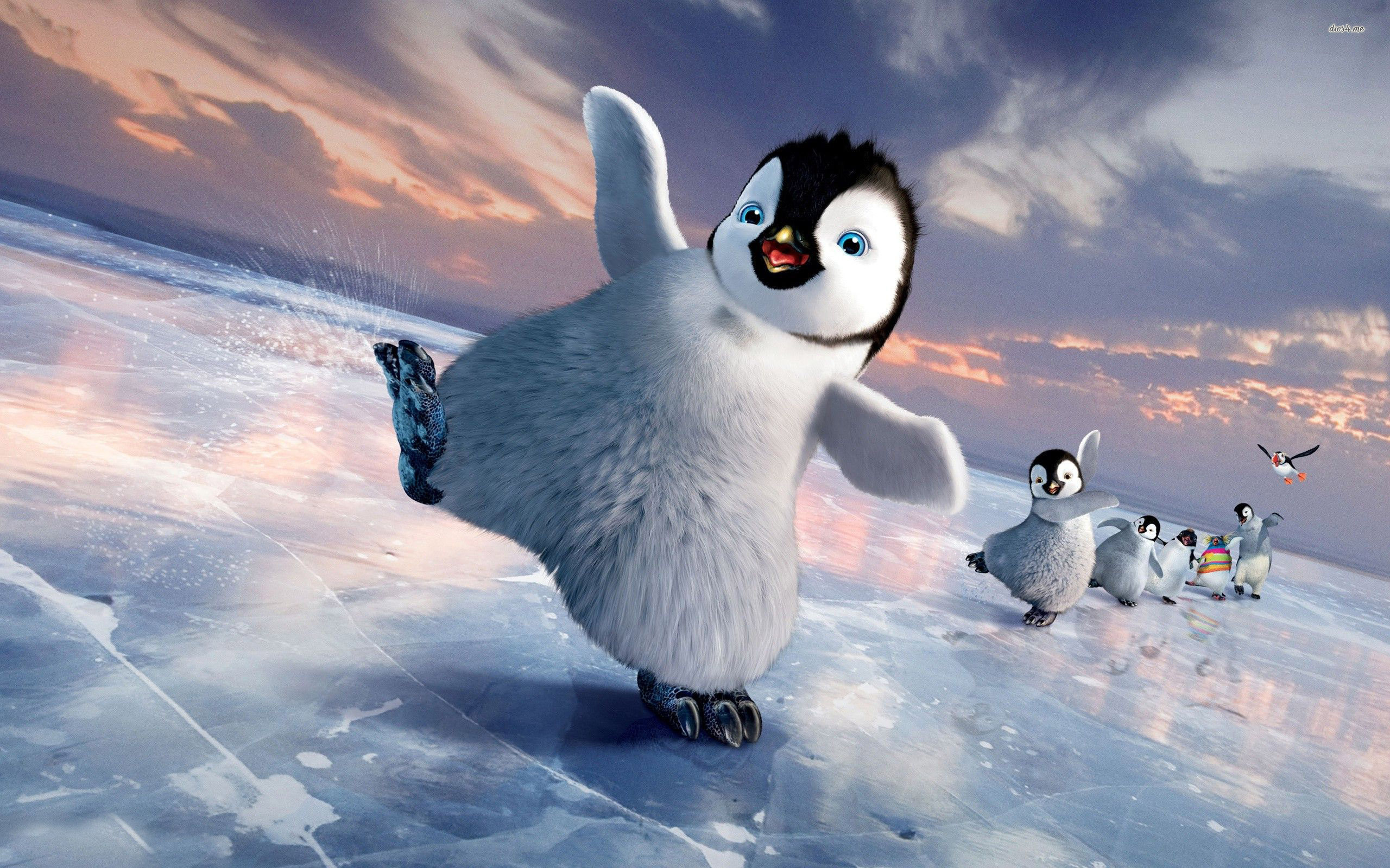 Happy Feet - 2560x1600 Wallpaper - teahub.io