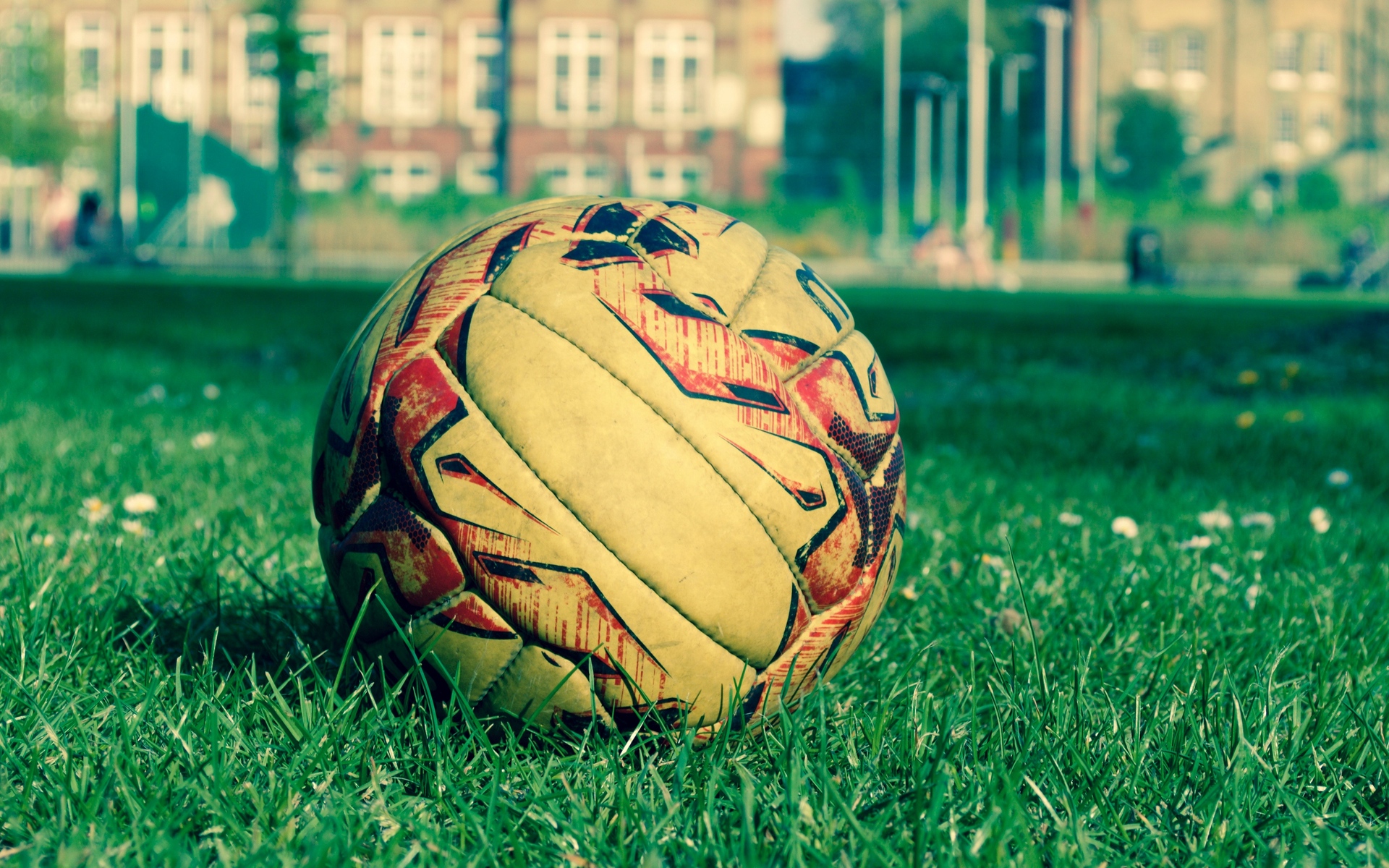 Wallpaper Soccer Ball, Field, Grass, Lawn - HD Wallpaper 