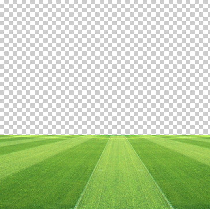 Football Pitch Grassland Stadium Png, Clipart, Artificial - HD Wallpaper 