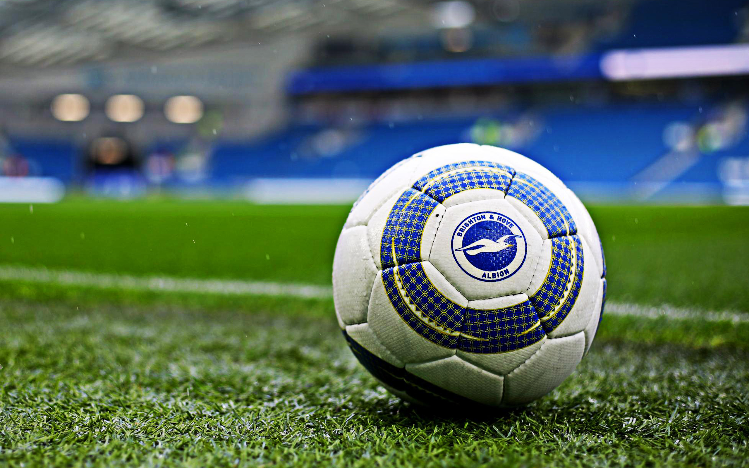 Brighton Hove Albion Fc, Soccer Ball With Logo, Emblem, - Brighton & Hove Albion F.c. - HD Wallpaper 