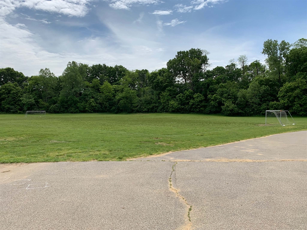 Grass - HD Wallpaper 