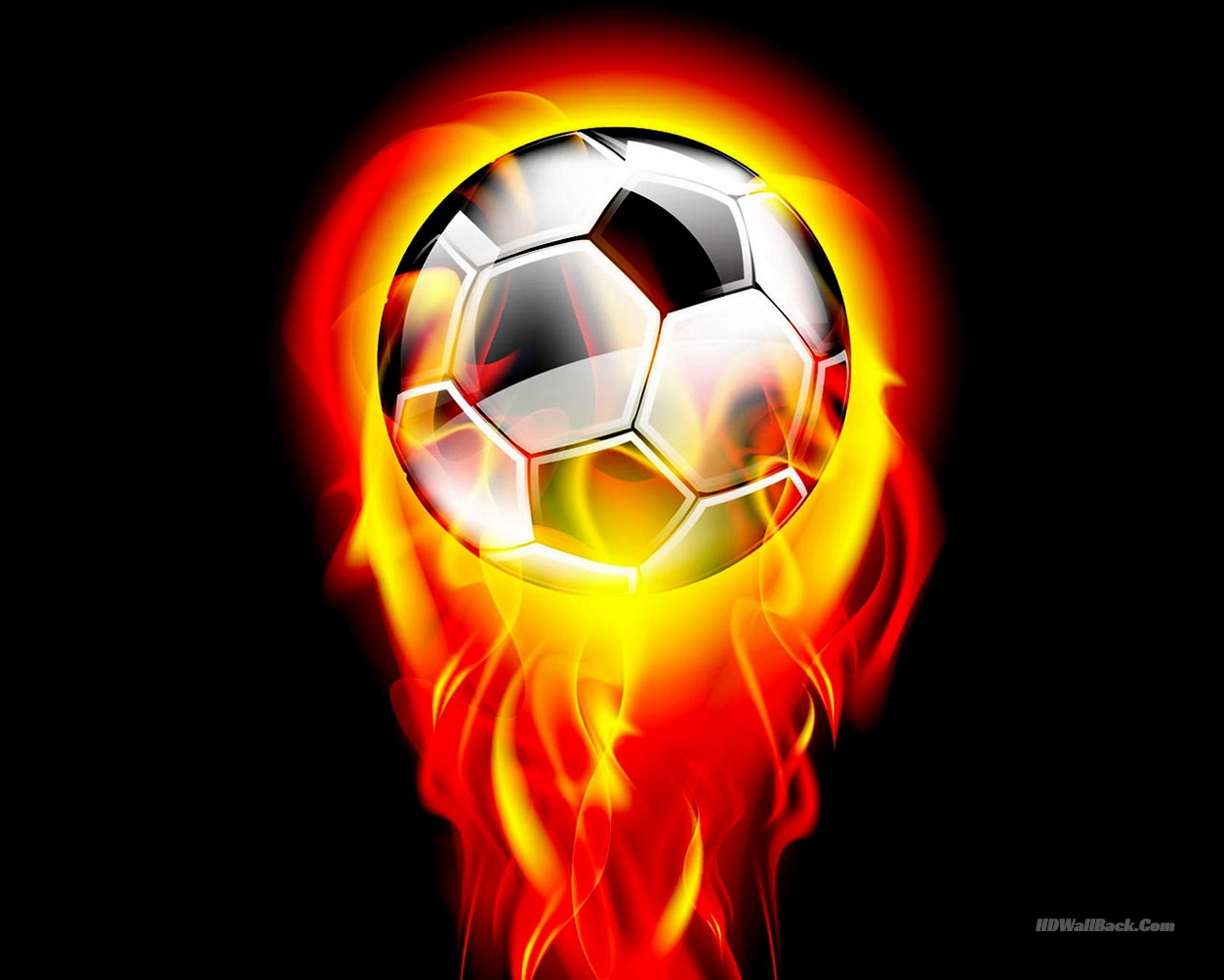 Stock.xchng - HD Wallpaper 