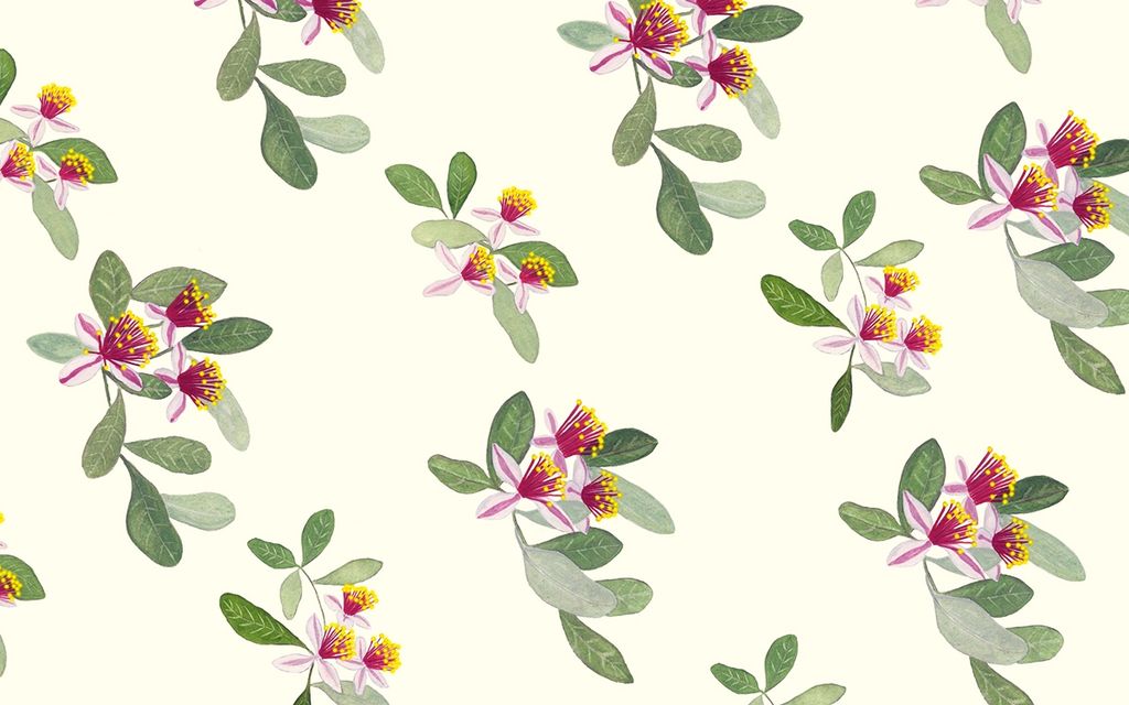 Clip Art - HD Wallpaper 