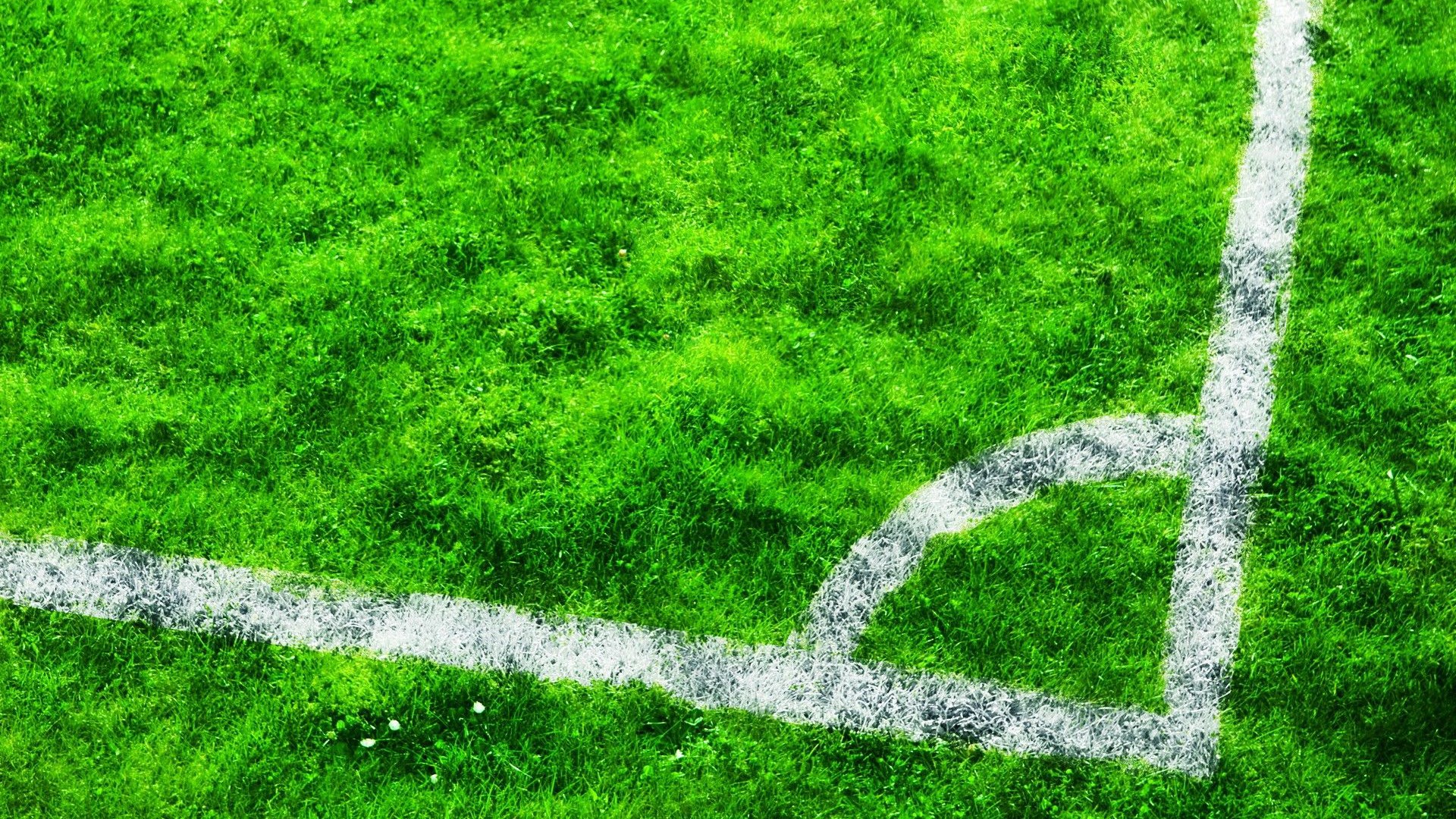 Grass High Resolution Football Ground - HD Wallpaper 