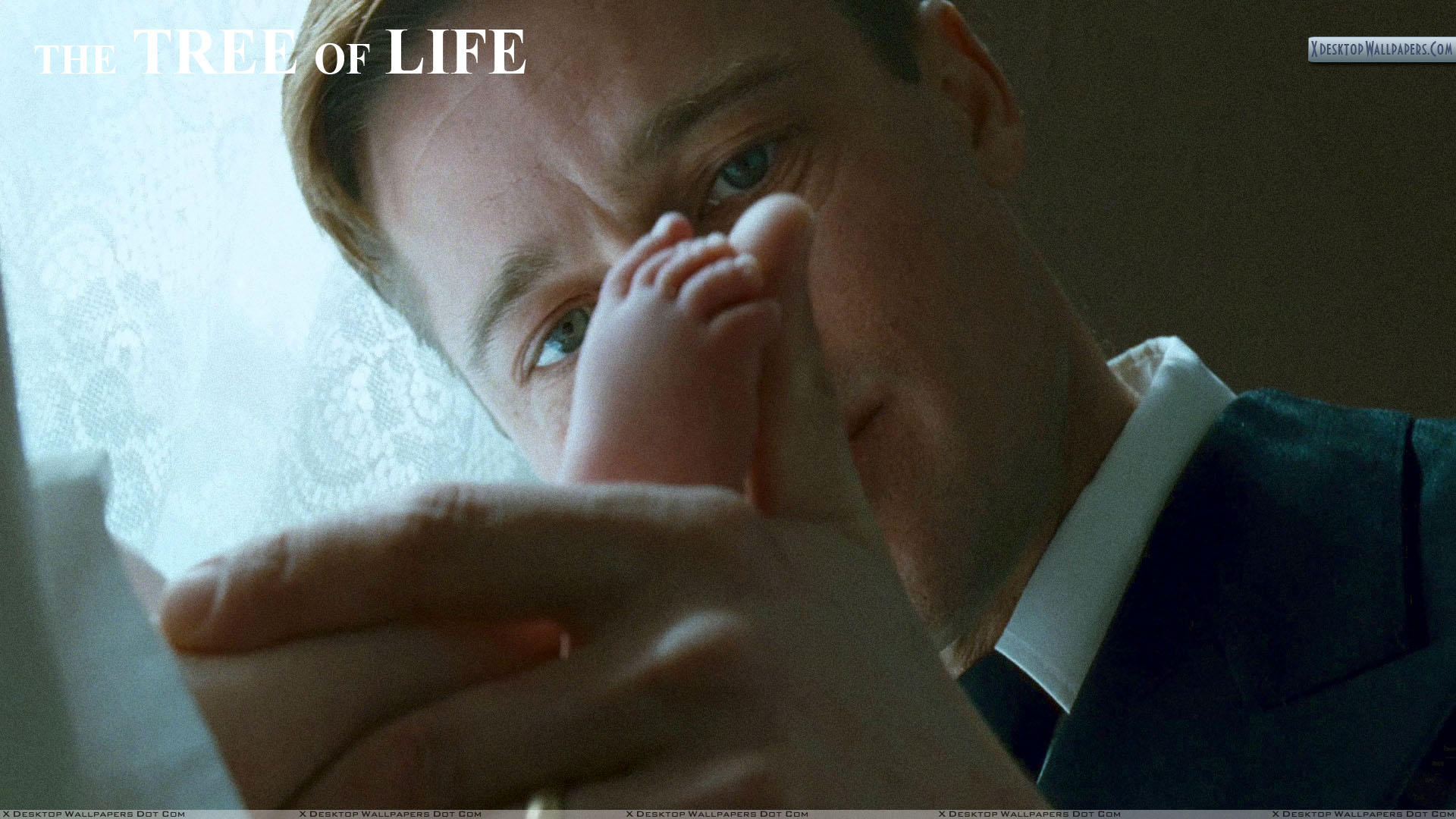 Terrence Malick Close Ups - HD Wallpaper 