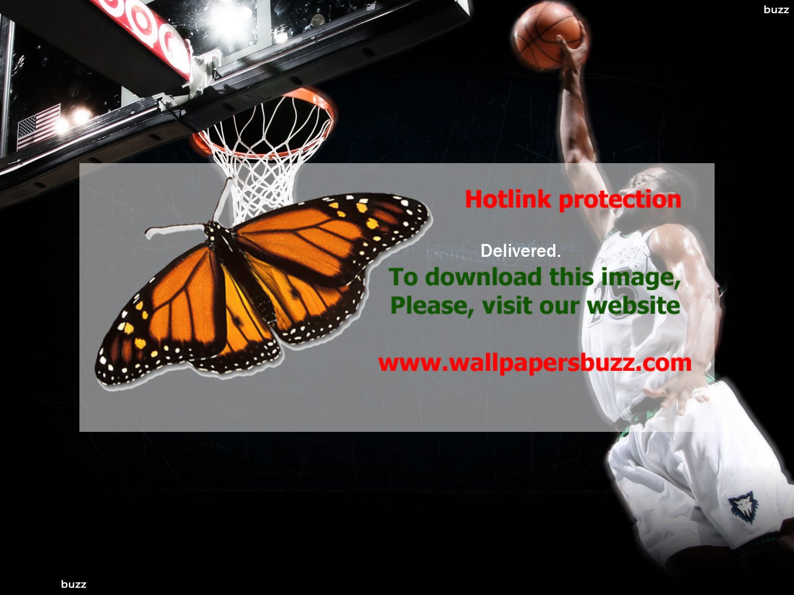 Minnesota Timberwolves - 1600x1200 Wallpaper - teahub.io