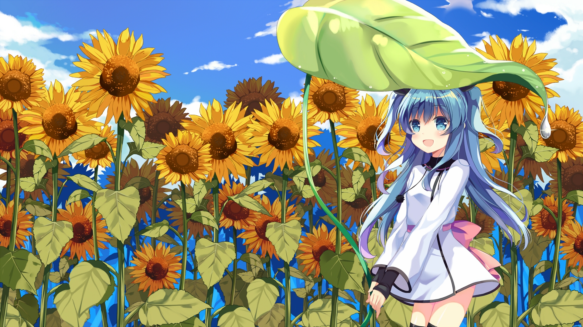 Sora No Method, Noel, Sunflowers, Leaves, Aqua Hair - HD Wallpaper 