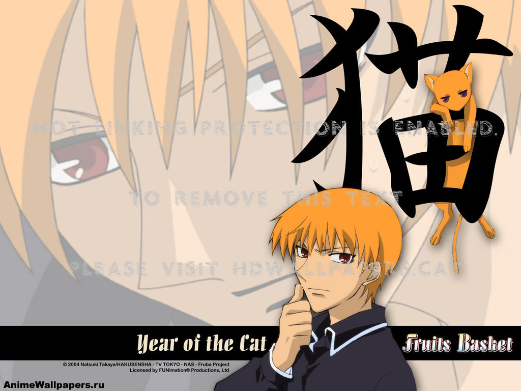 Desktop Kyo Sohma Anime Fruits Basket - Cat In Japanese Writing - HD Wallpaper 