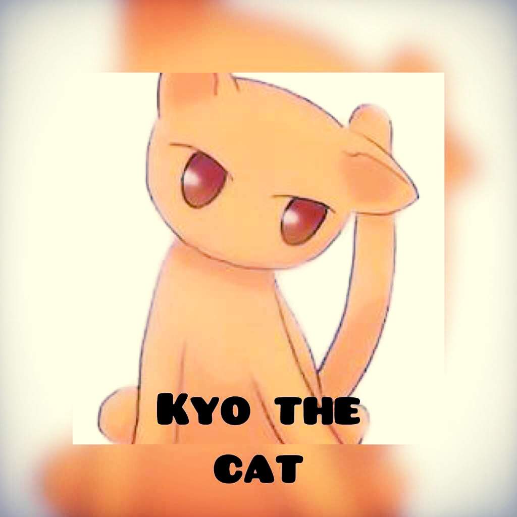 User Uploaded Image - Fruits Basket Kyo Cat - HD Wallpaper 