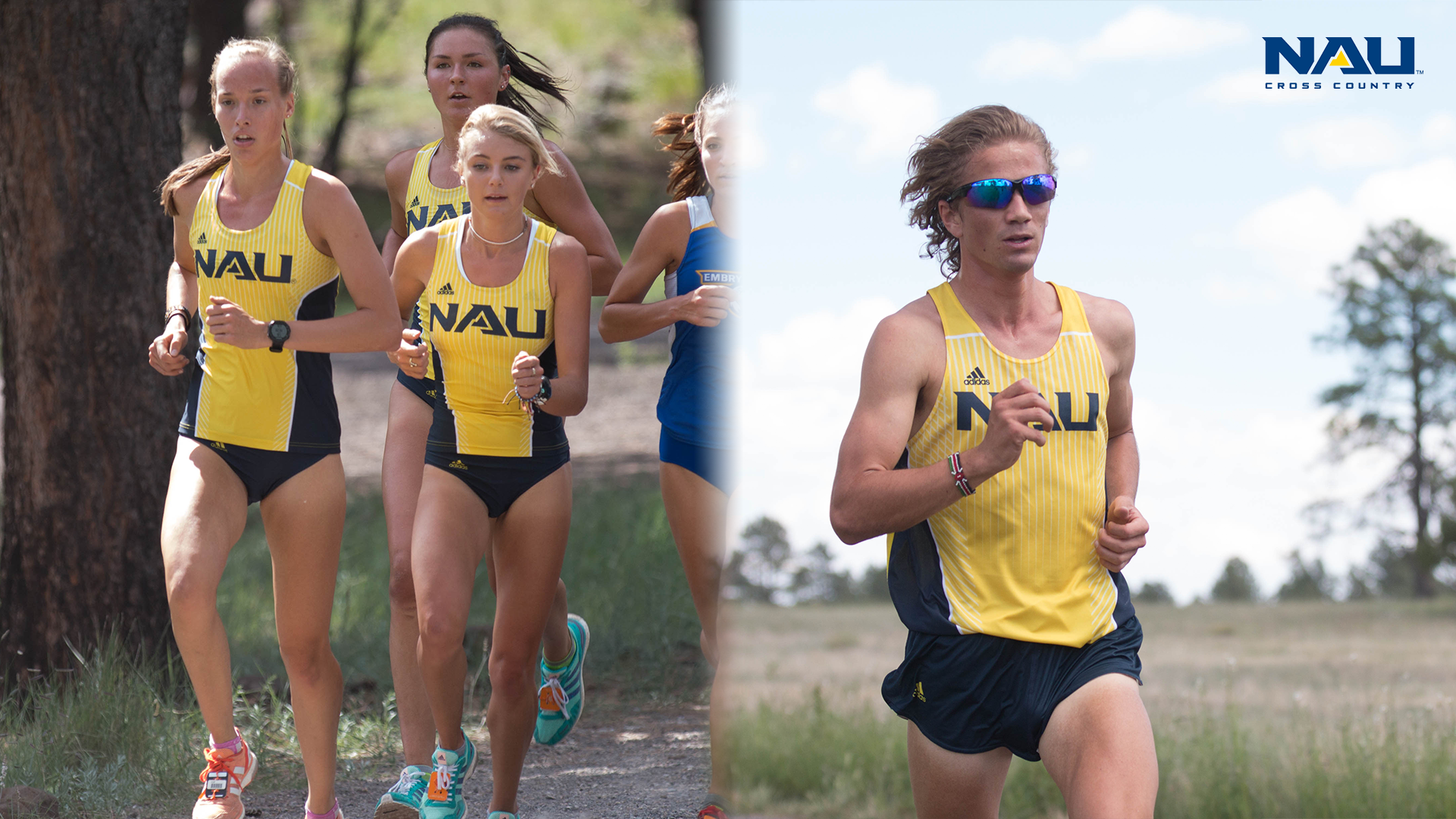 George Kyte Classic Redo - Joe Defeo Northern Arizona - HD Wallpaper 