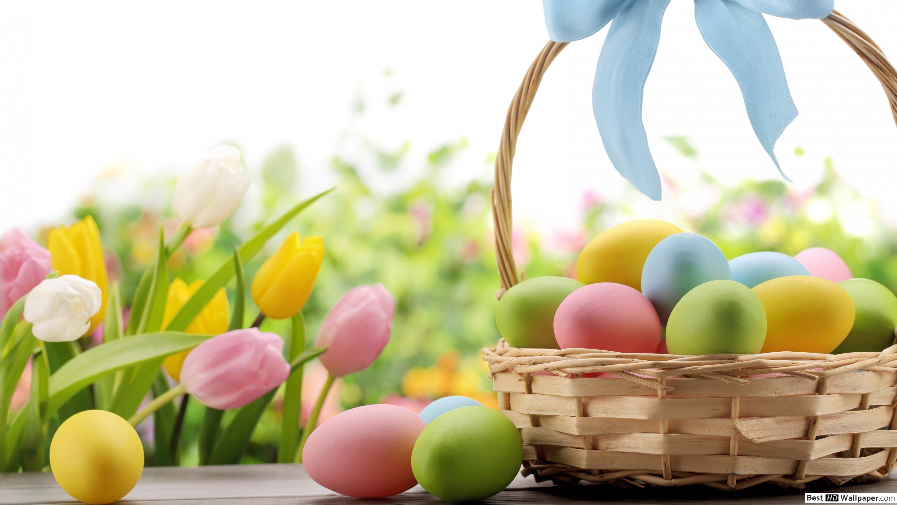 Happy Easter Wesolych Swiat - HD Wallpaper 