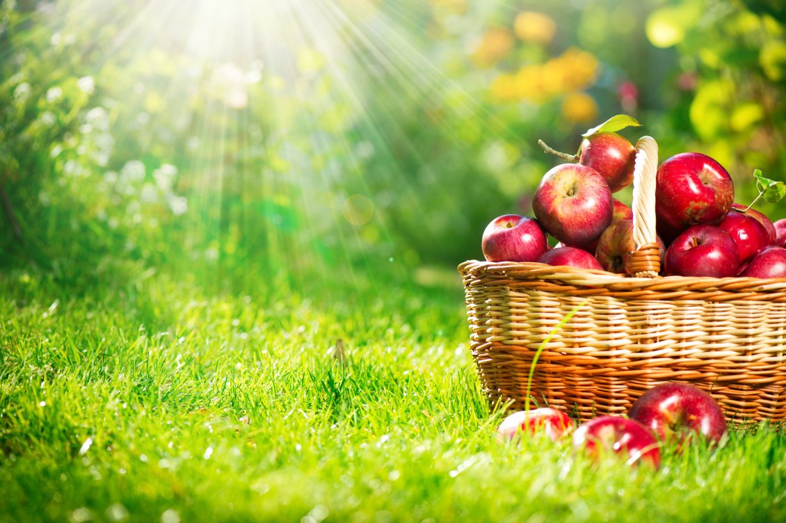Download Wallpaper Red Apples In A Basket - HD Wallpaper 