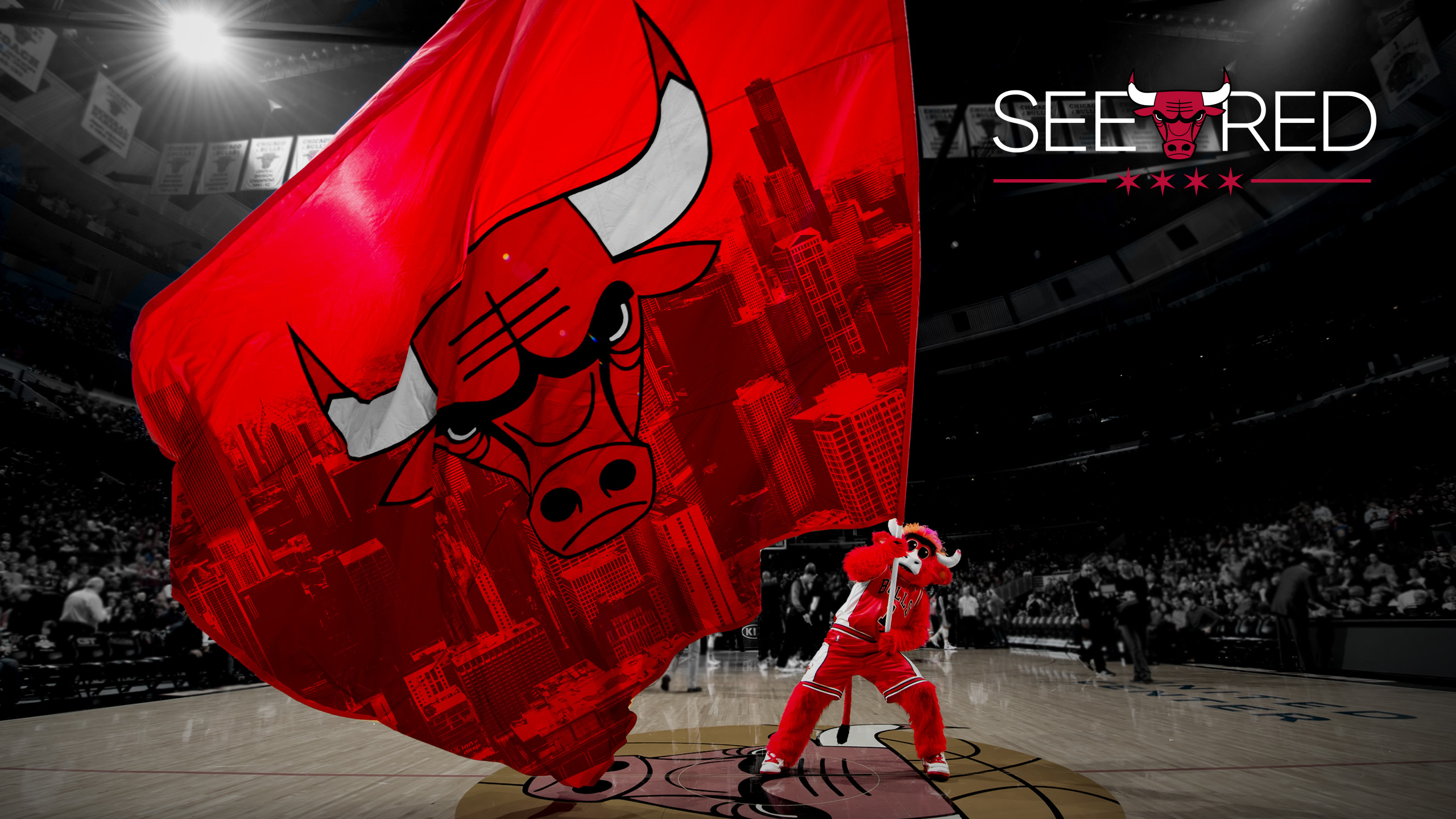 Chicago Bulls Wallpaper 2019 - HD Wallpaper 