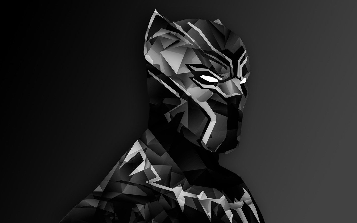 Bg Black Panther - HD Wallpaper 